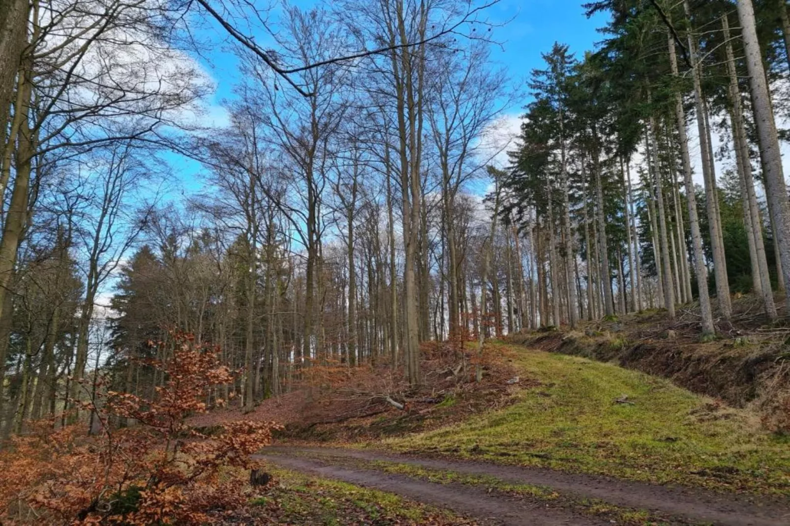 Ferienwohnung Landidyll am Salzhaff-Gebiete Sommer 20 km