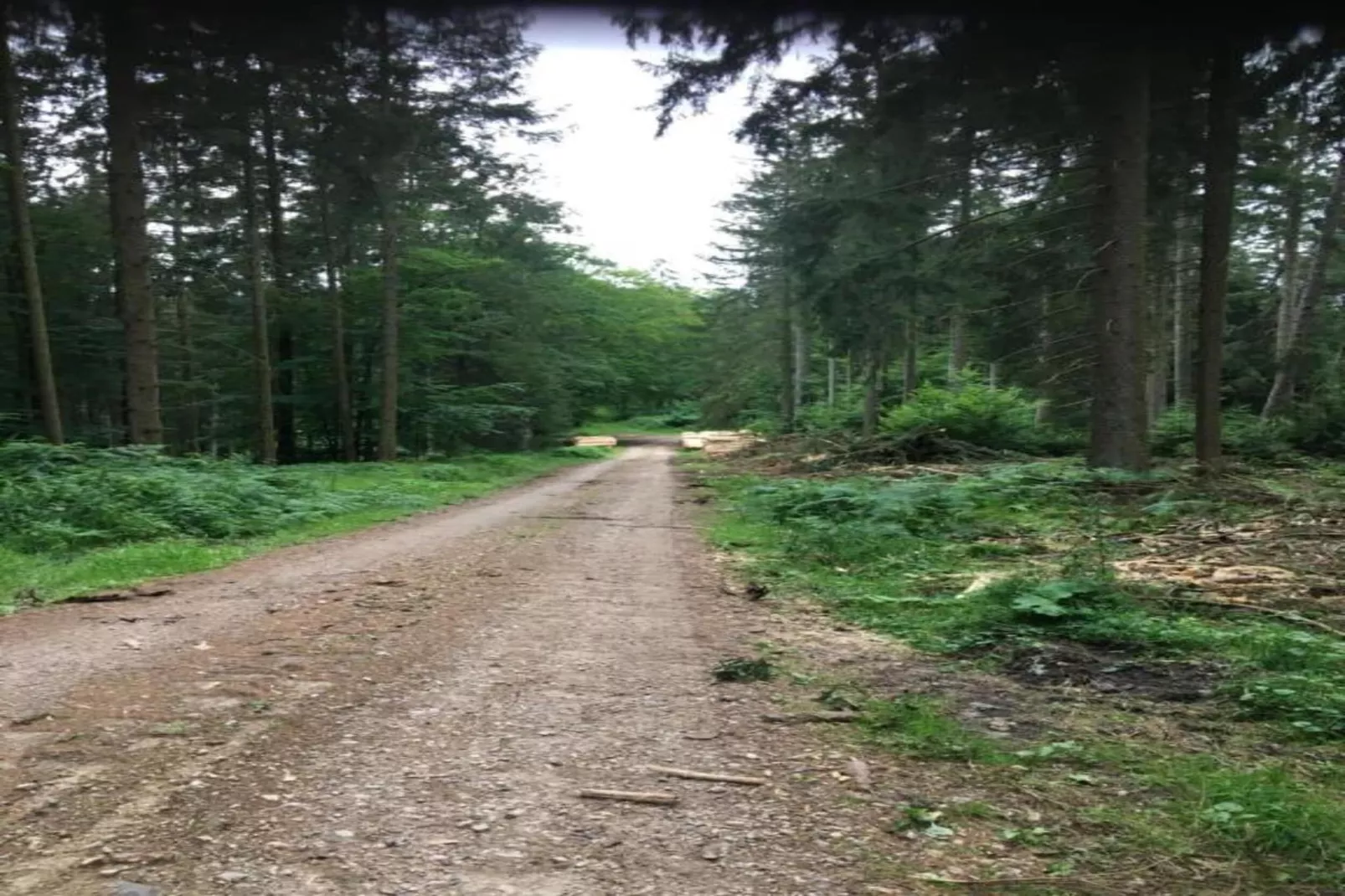 Baltic Hus-Areas within 20km in summer