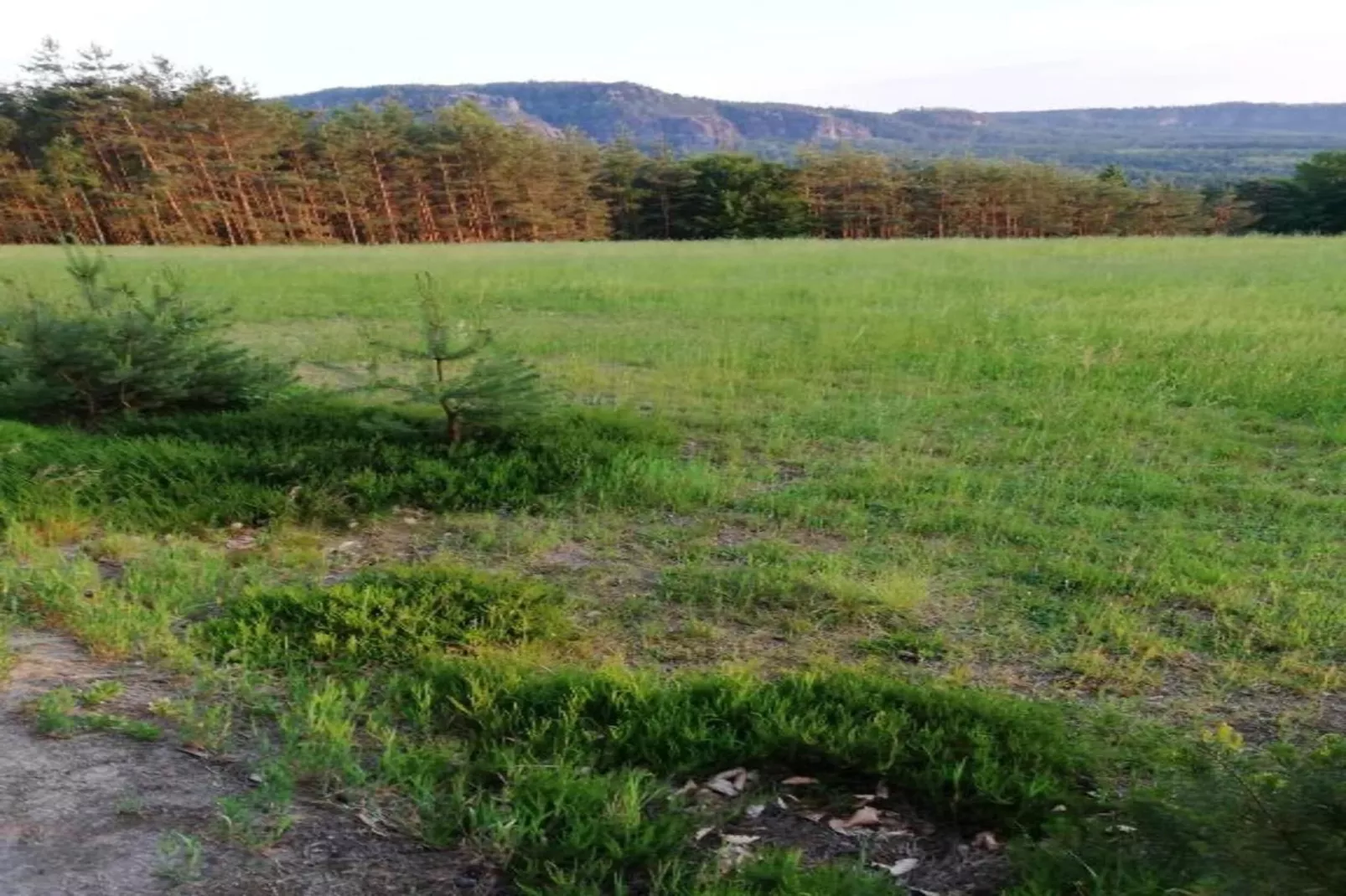 Sächsische Schweiz-Gebiete Sommer 5 km