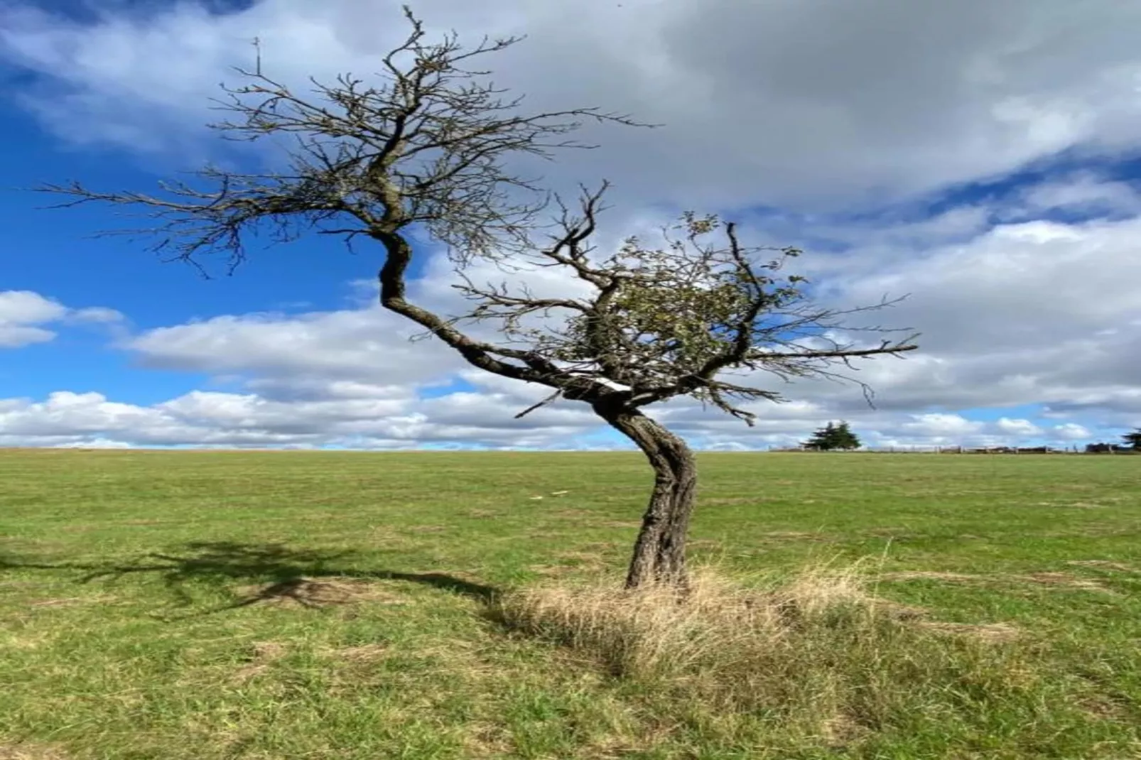 Holzhaus Ute-Areas within 20km in summer