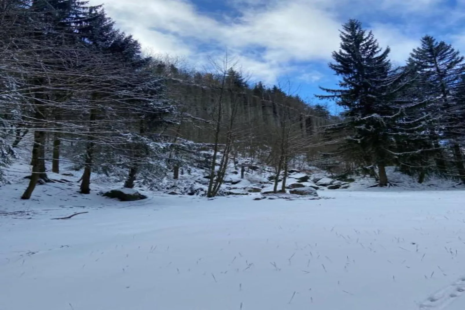 Honighäusl-Gebiet Winter 20 km