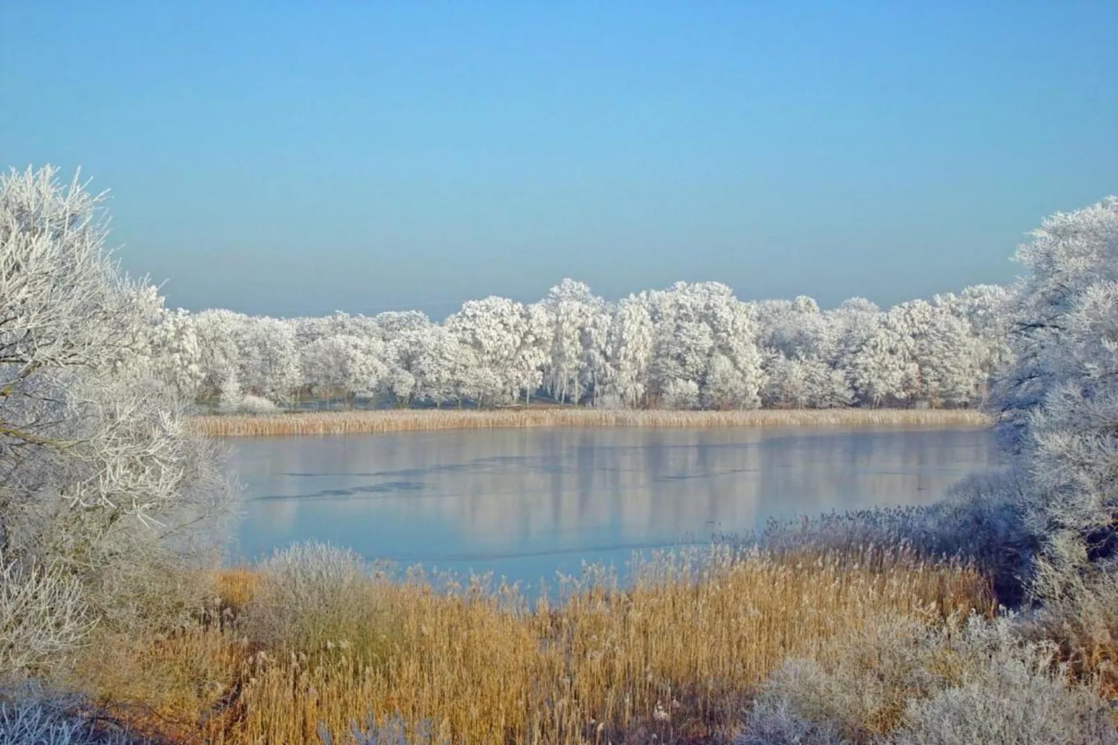 Ferienhaus Storchenblick-Zones hiver à 20 km