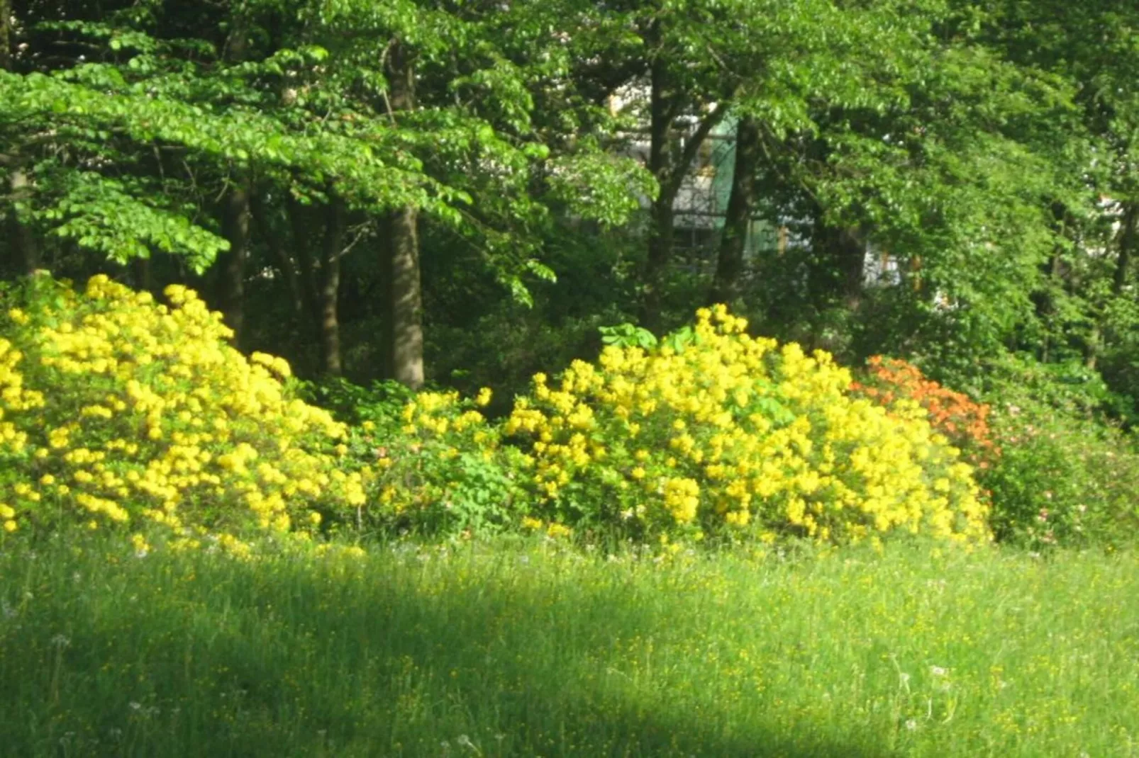 Bad Elster-Gebiete Sommer 20 km