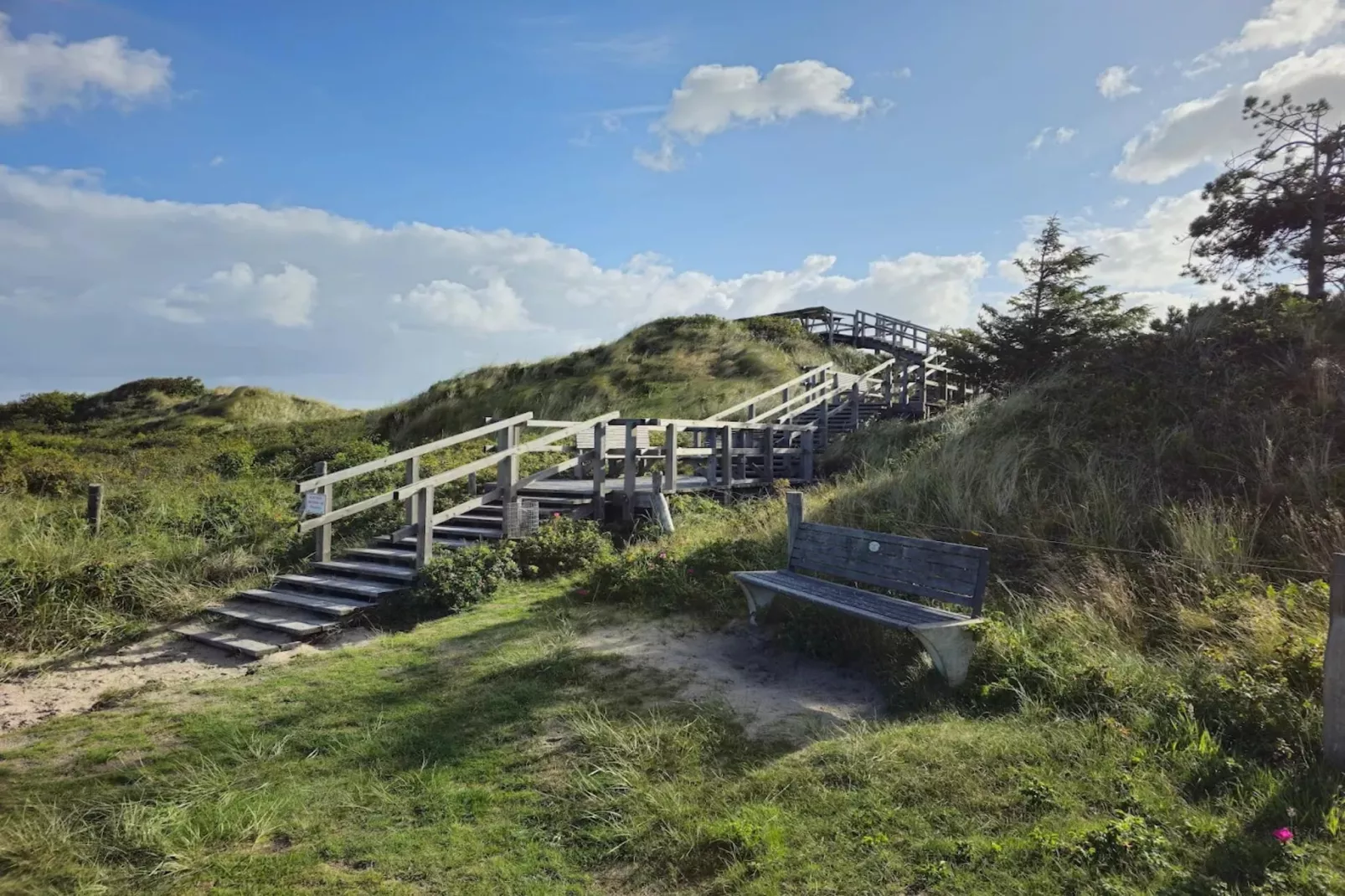 Ferienwohnung Sommerdeich  2 Personen-Gebiete Sommer 5 km