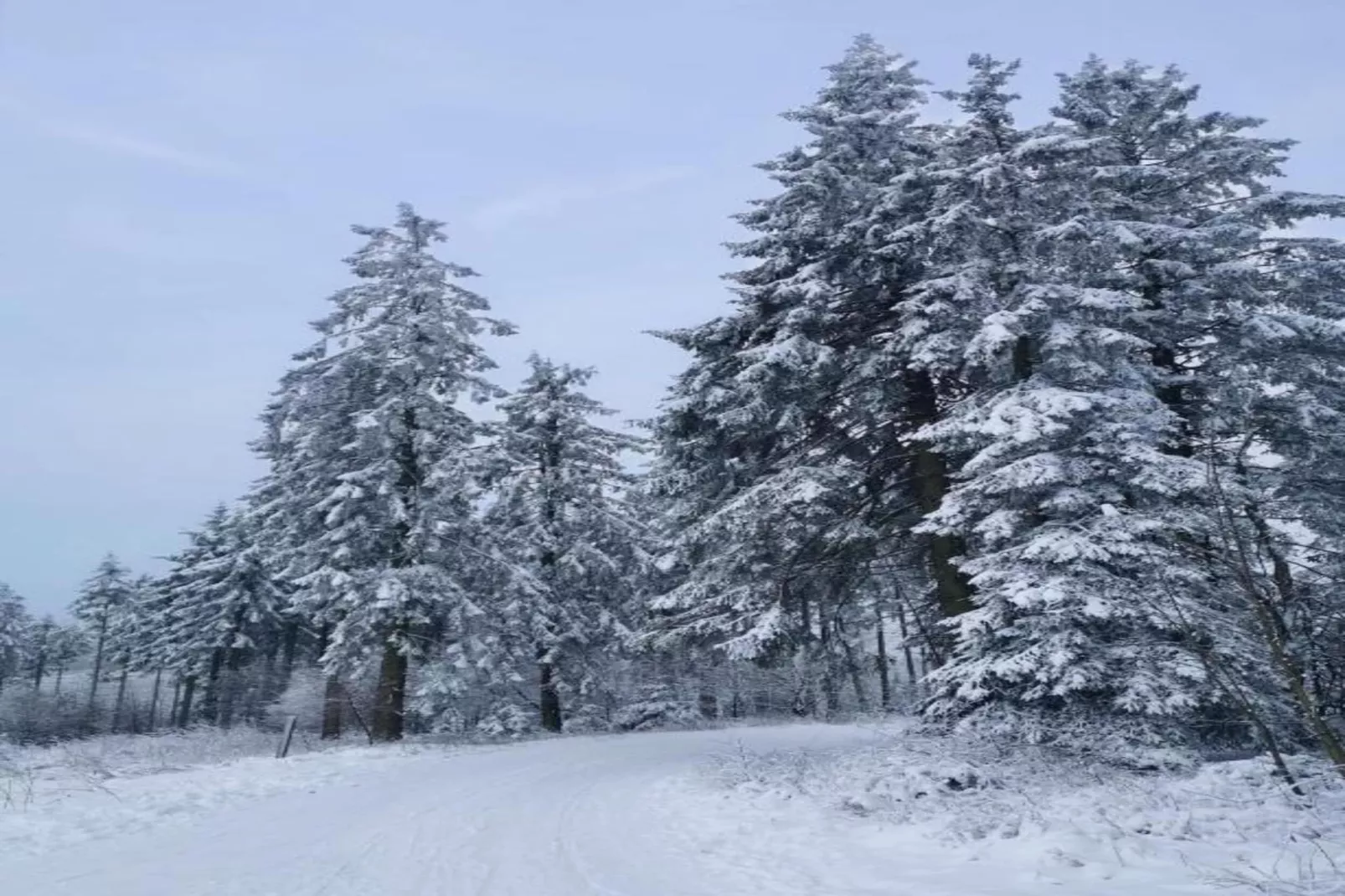 Sauerland - Diemelsee-Area within 5km in winter