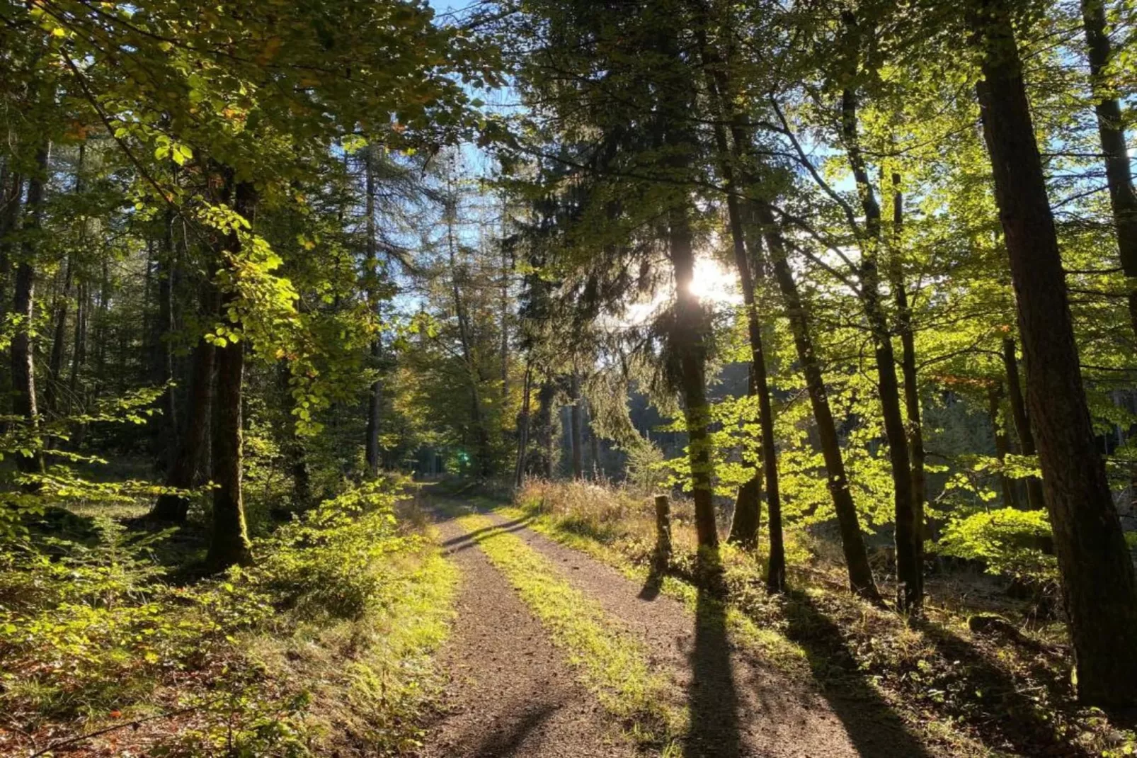 Diemelsee-Areas within 5km in summer