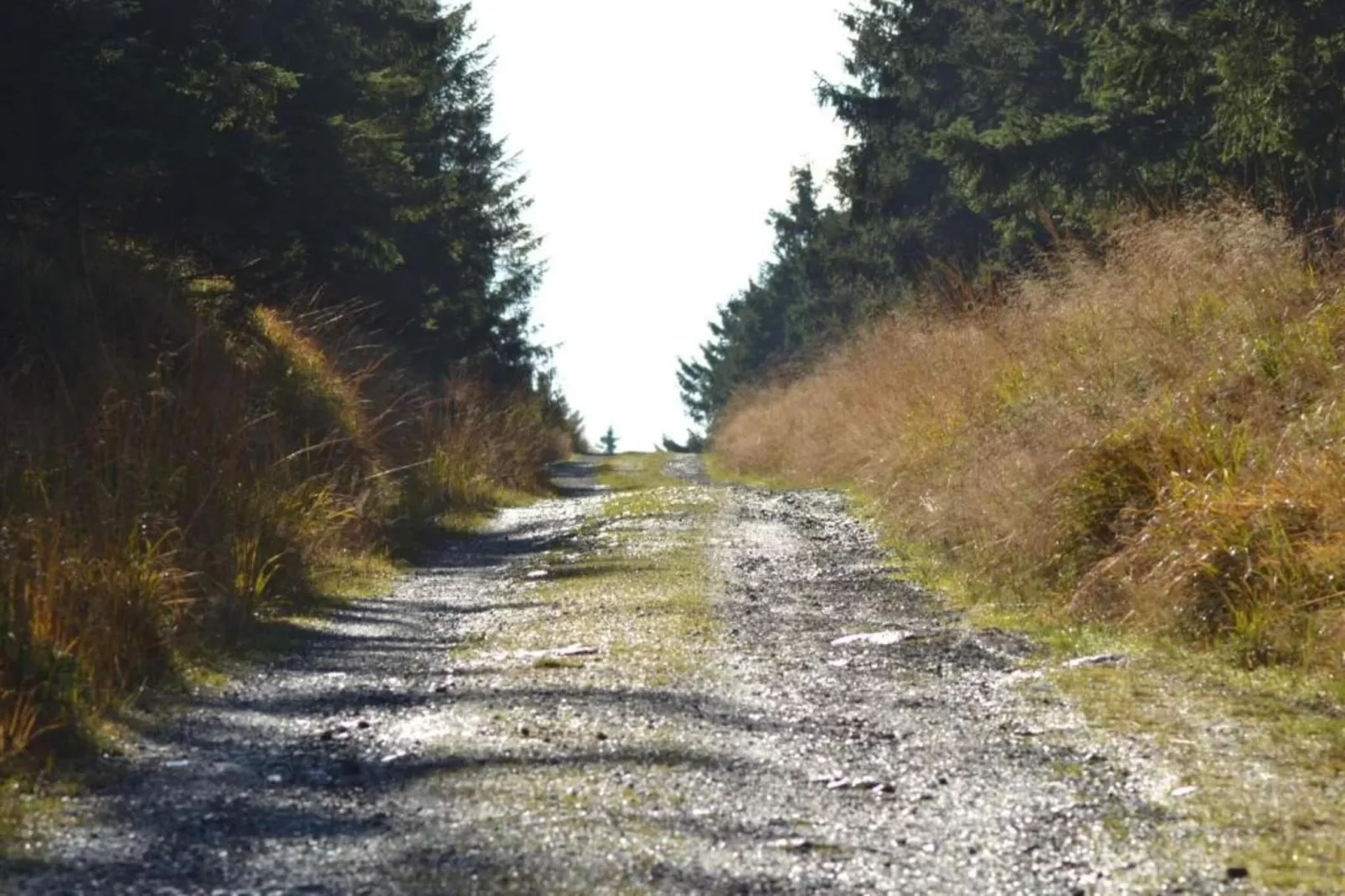 Spiegeltal-Zones été à 5 km