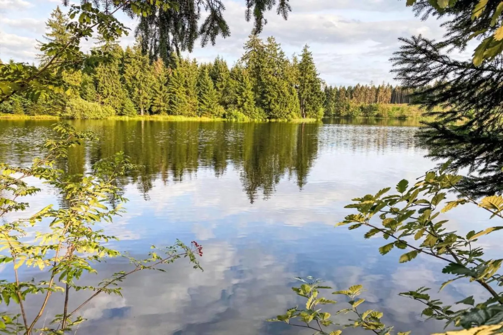 Kamschlacken-Areas within 5km in summer
