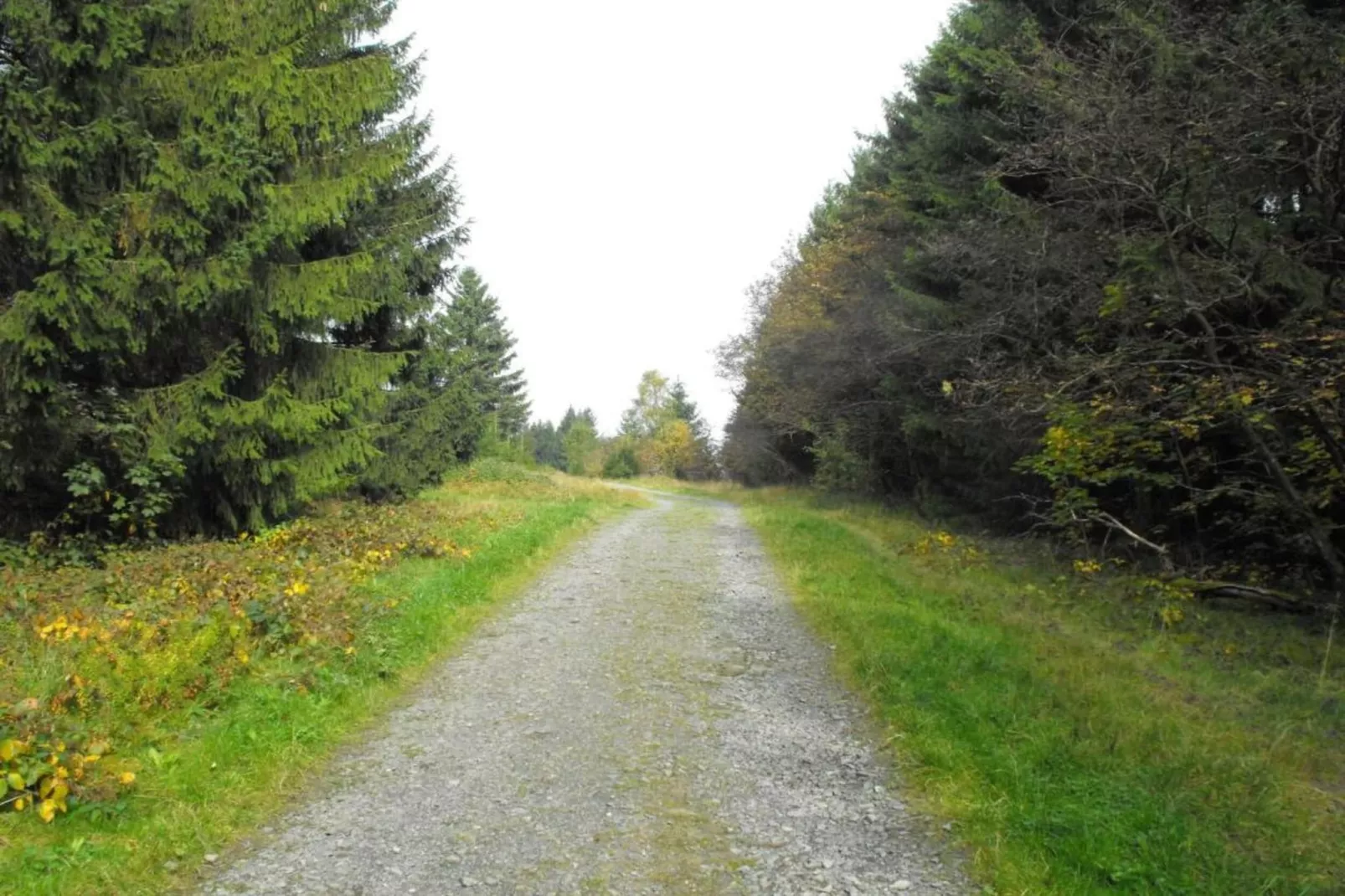 Spiegeltal-Zones été à 5 km