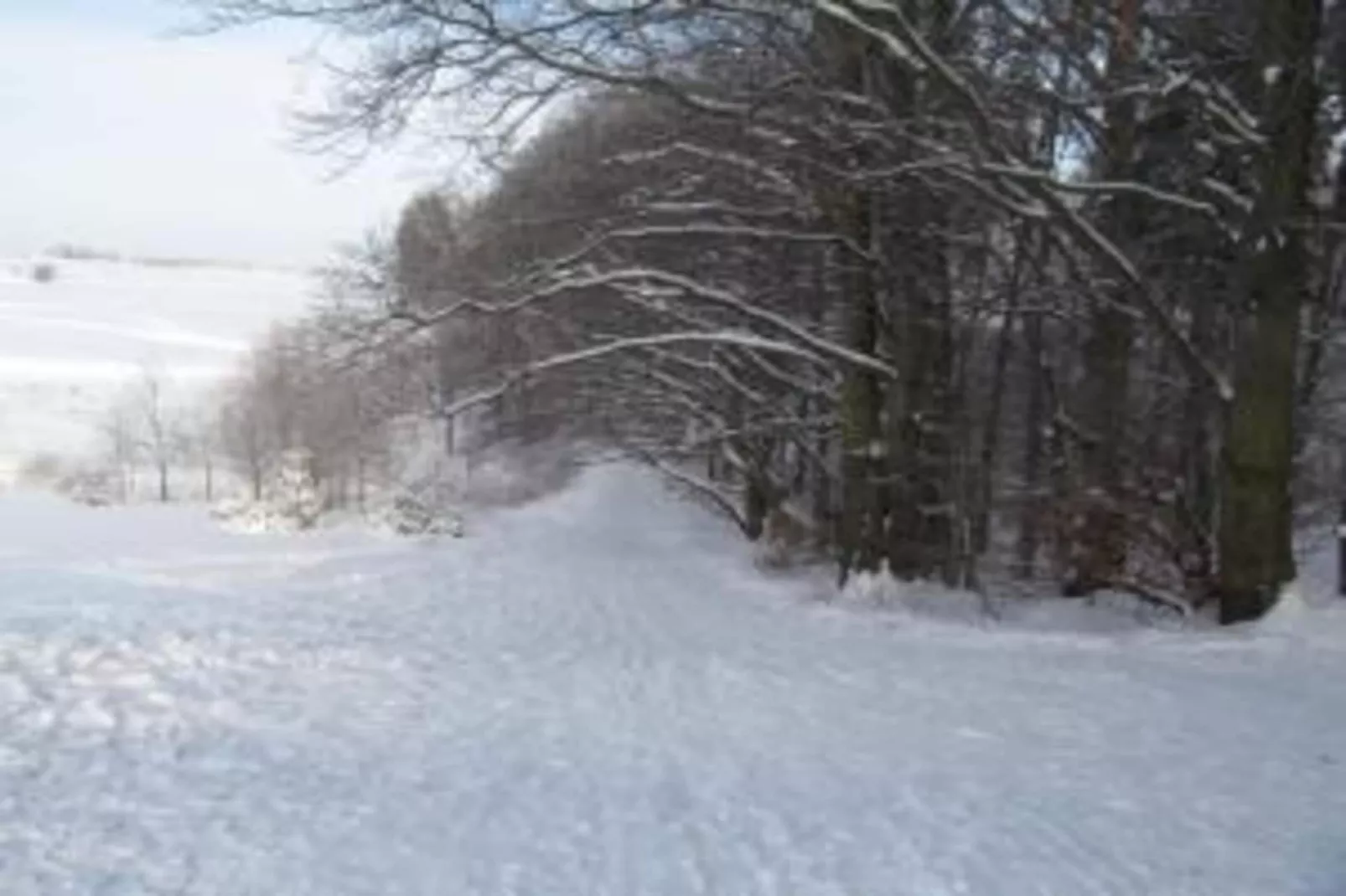 Stalter-Area within 20km in winter