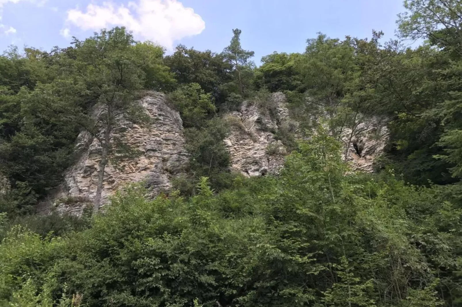 Waldferienpark Gerolstein 2-Areas within 20km in summer