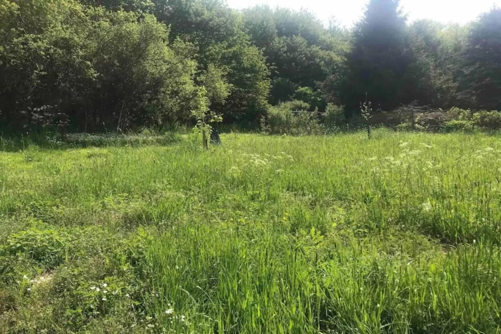 Denterhof-Areas within 20km in summer