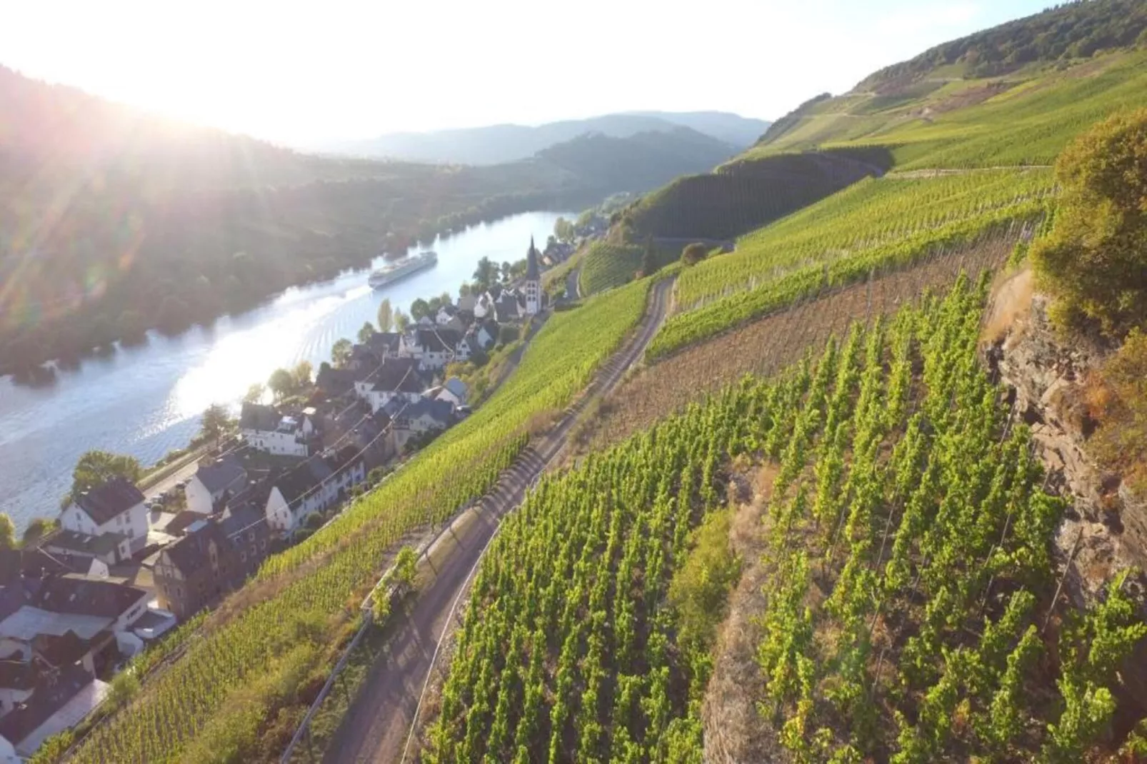 Ferienresort Cochem 33-Gebiete Sommer 20 km