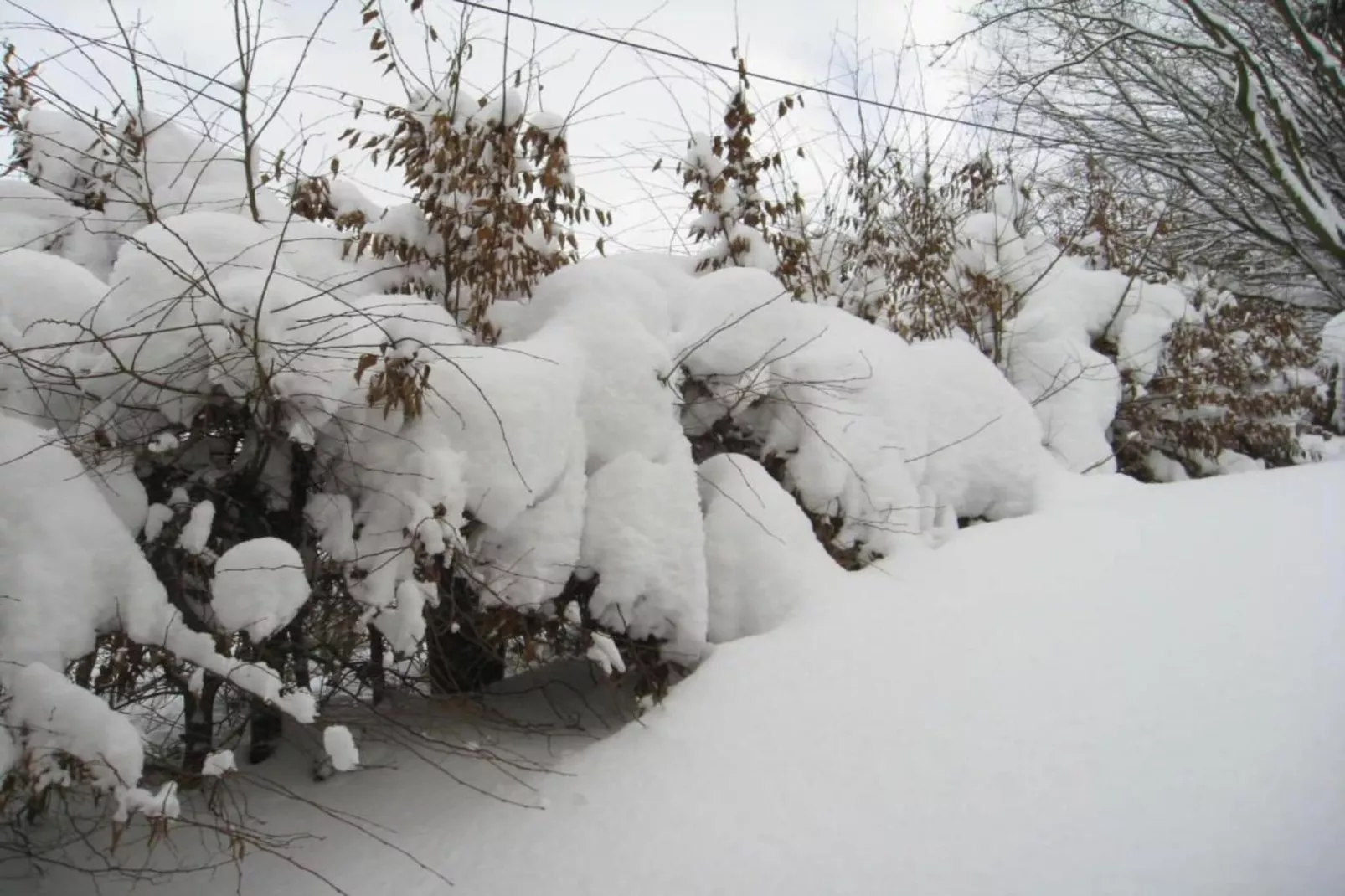 Ferienwohnung Sauerland-Area within 5km in winter