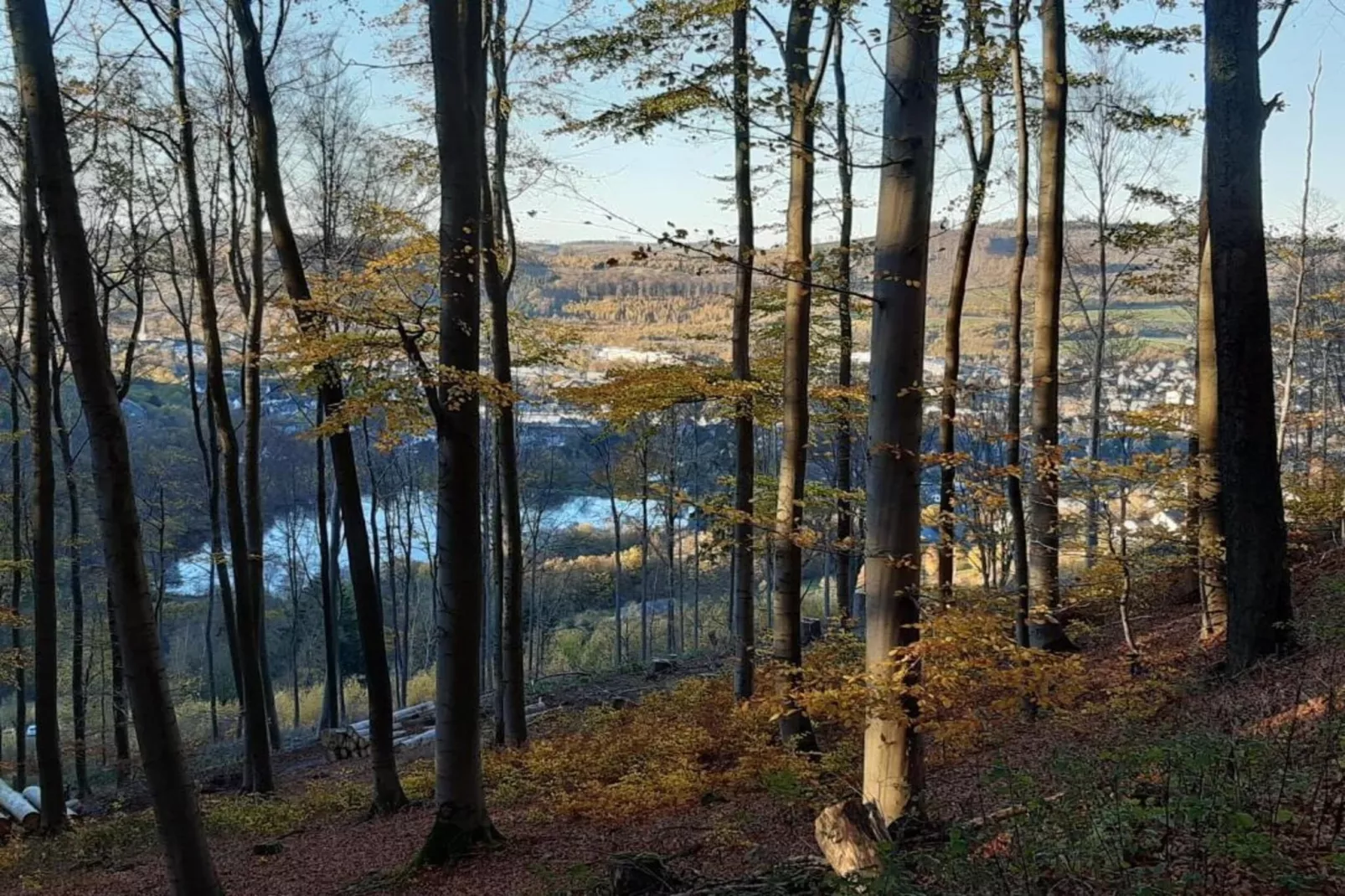 Sauerland-Gebiete Sommer 5 km
