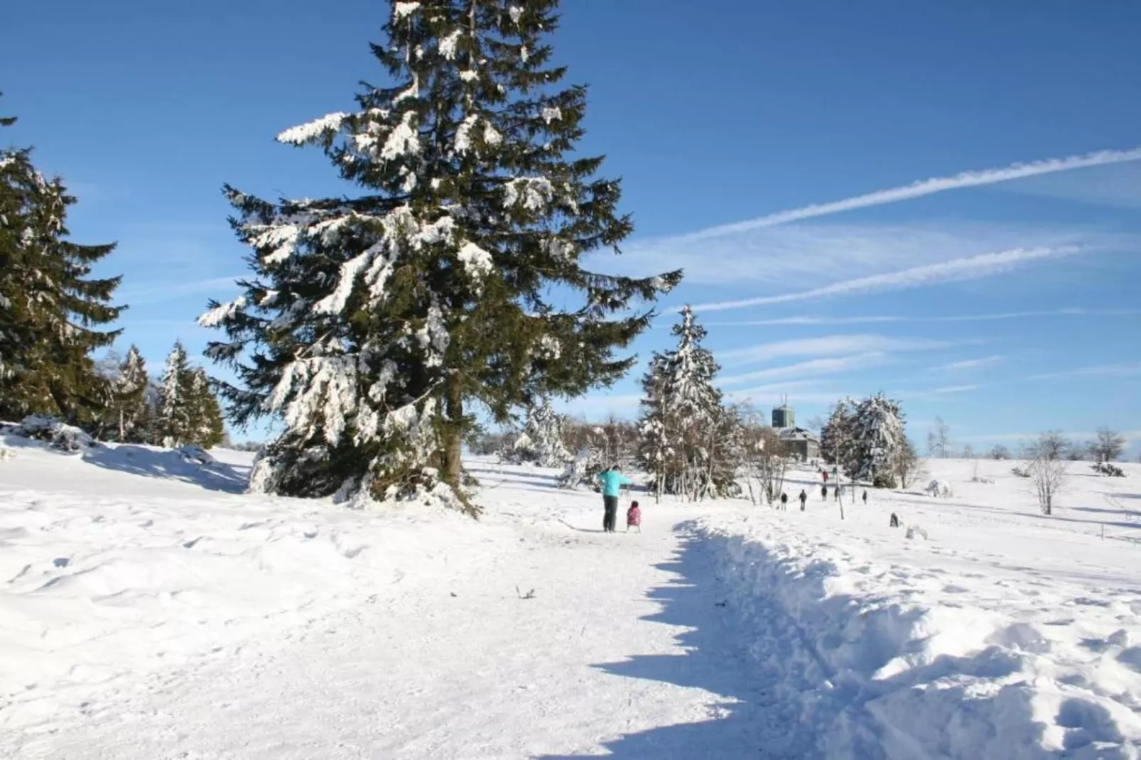 Im Ries-Gebiet Winter 5 km