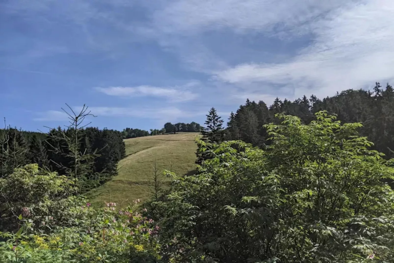 Neuastenberger Straße 4 - Neuastenberg-Gebiete Sommer 5 km