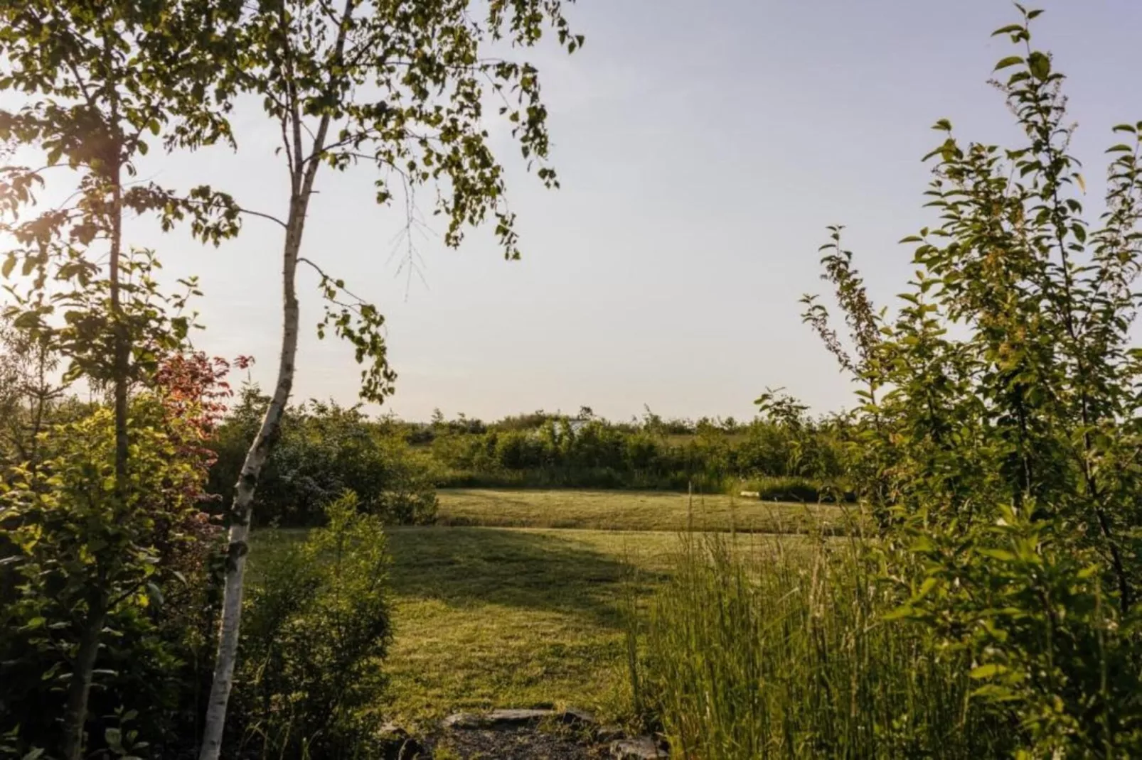 Medebach-Areas within 20km in summer