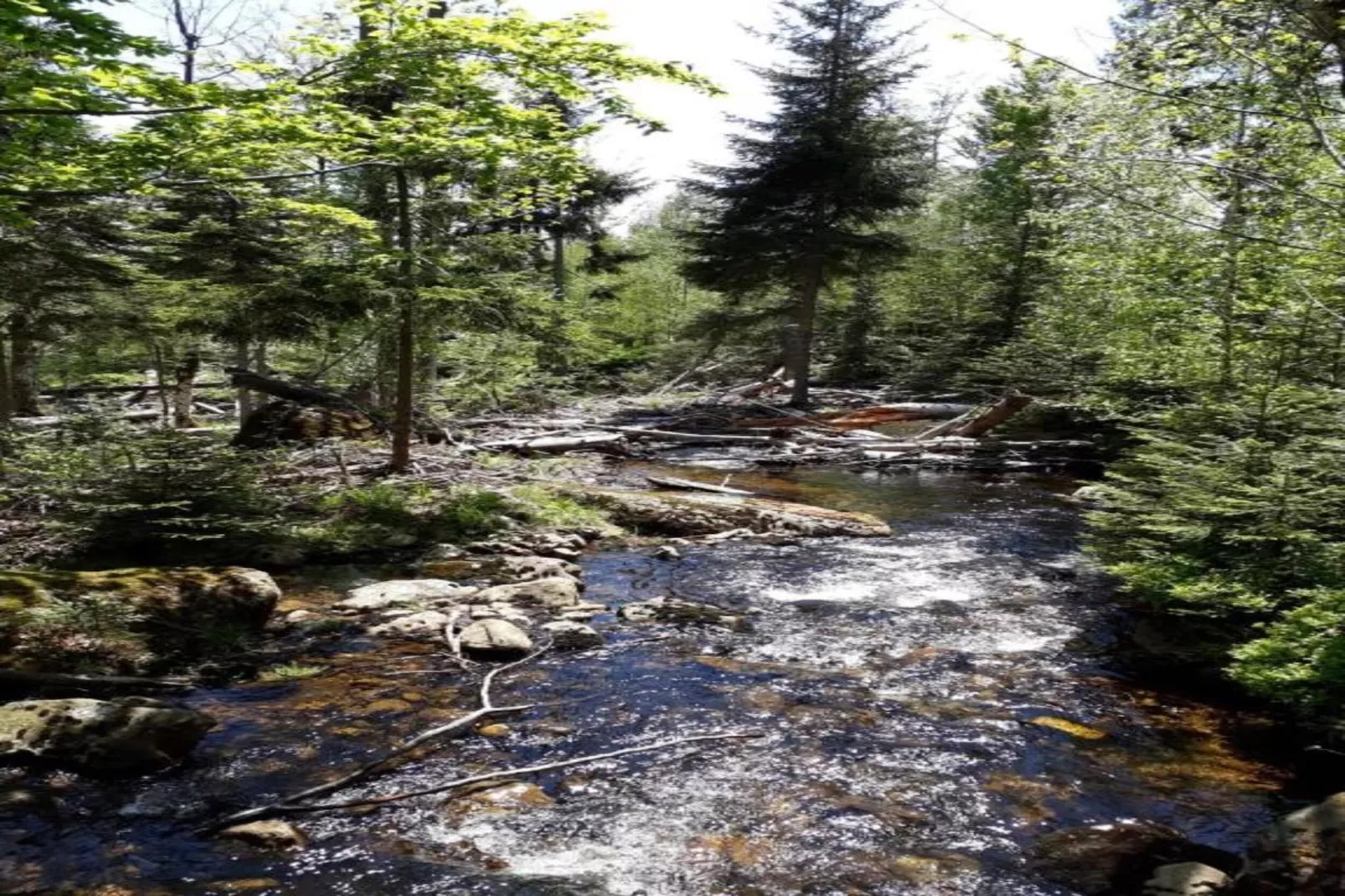 Feriendorf Waldbrunn 1-Gebiete Sommer 20 km