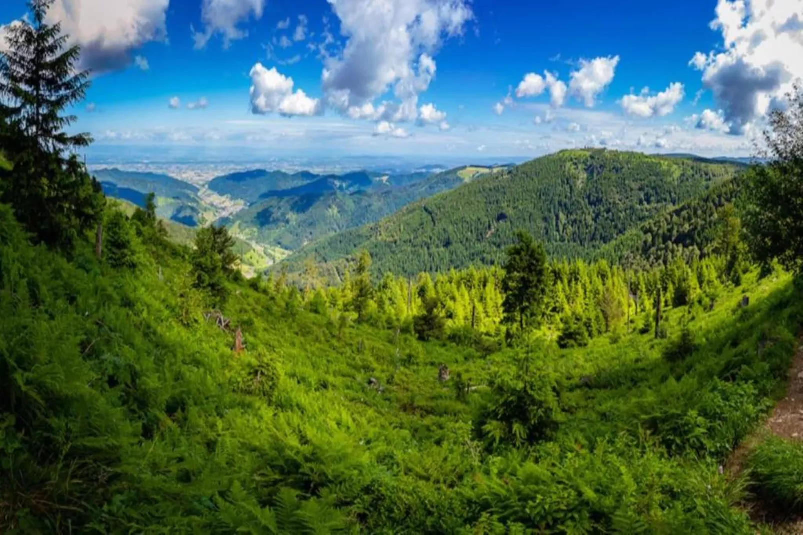 Kniebis-Areas within 20km in summer