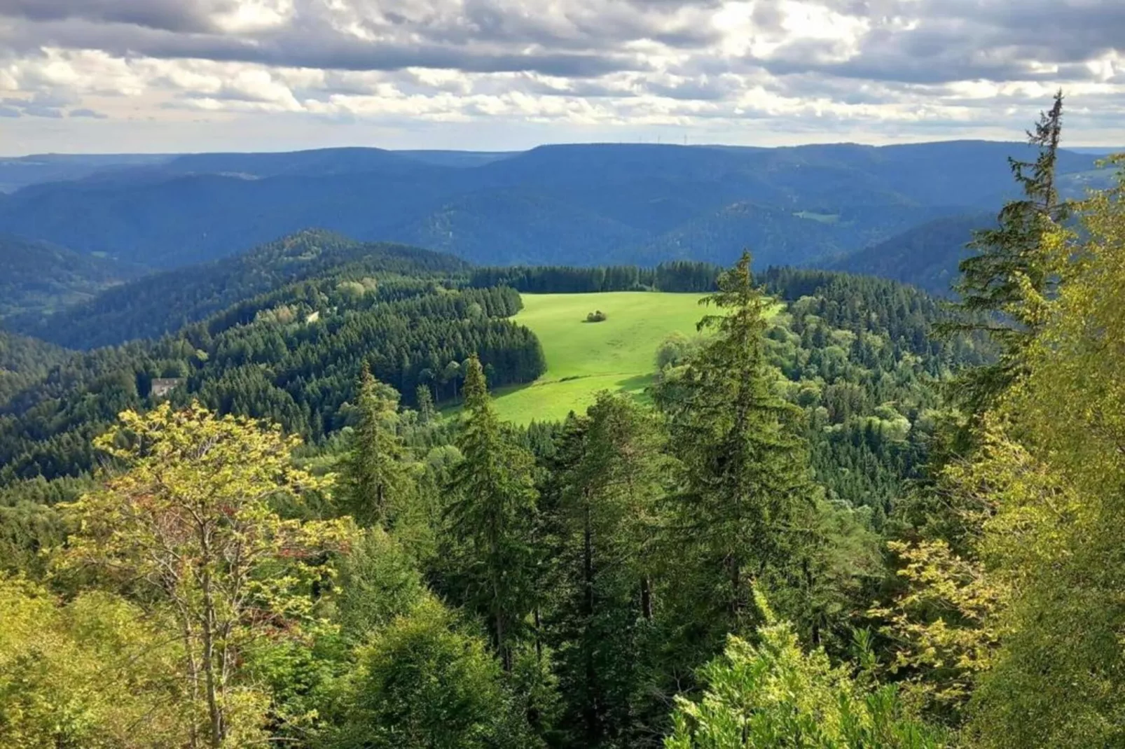Panoramablick-Areas within 20km in summer