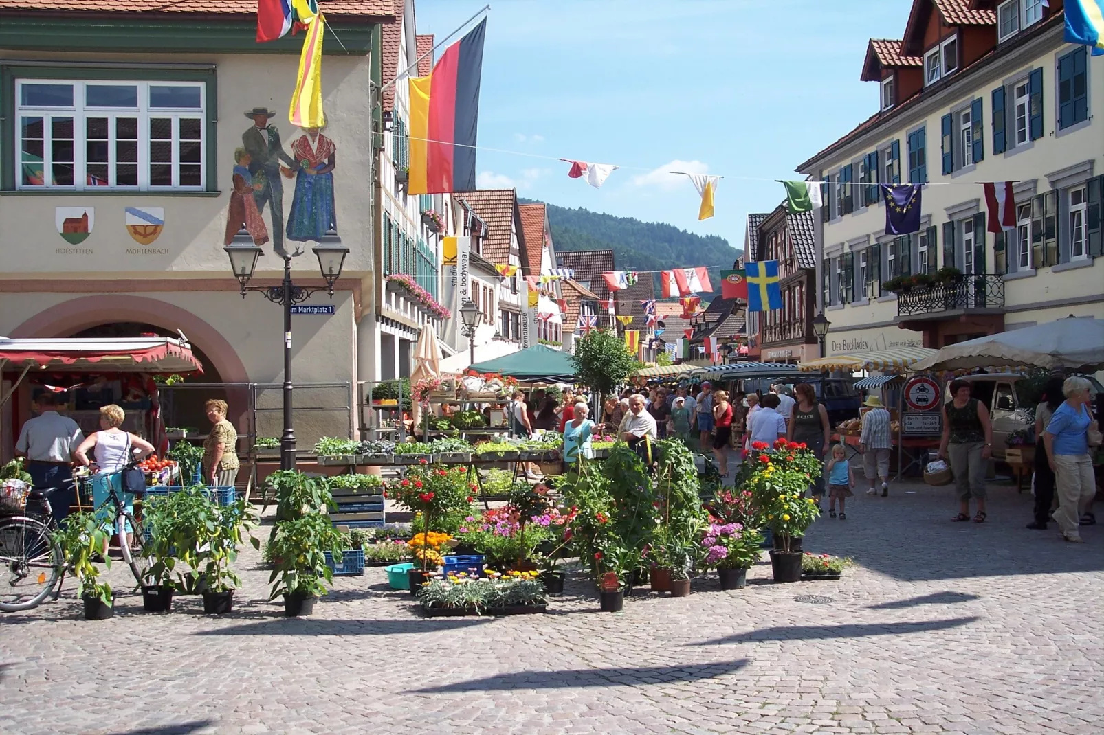 Im Kinzigtal-Areas within 1km in summer