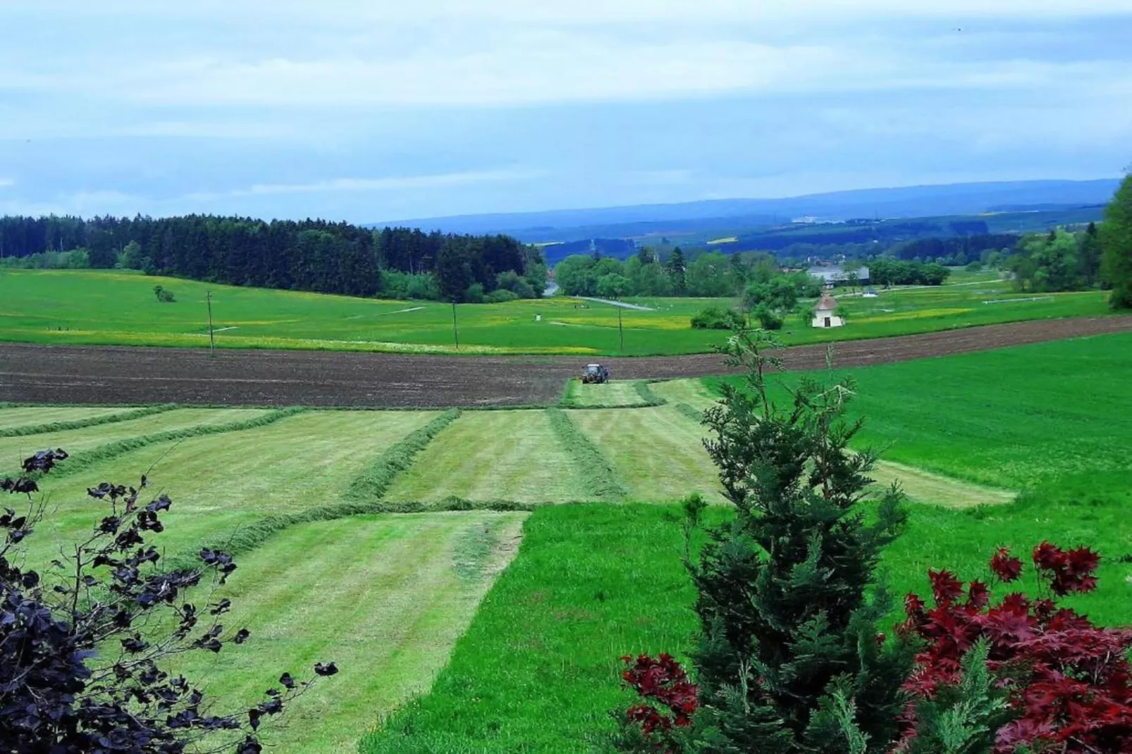 Schwarzwald-Gebiete Sommer 20 km