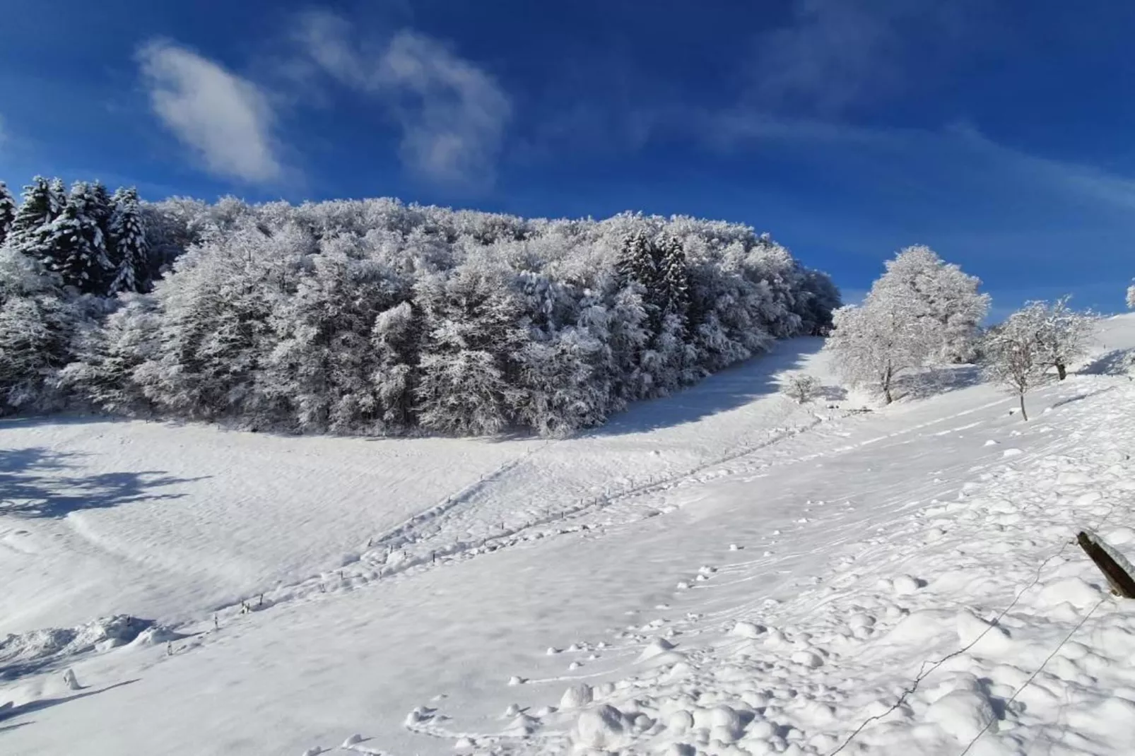 Schwarzwald-Gebiet Winter 20 km
