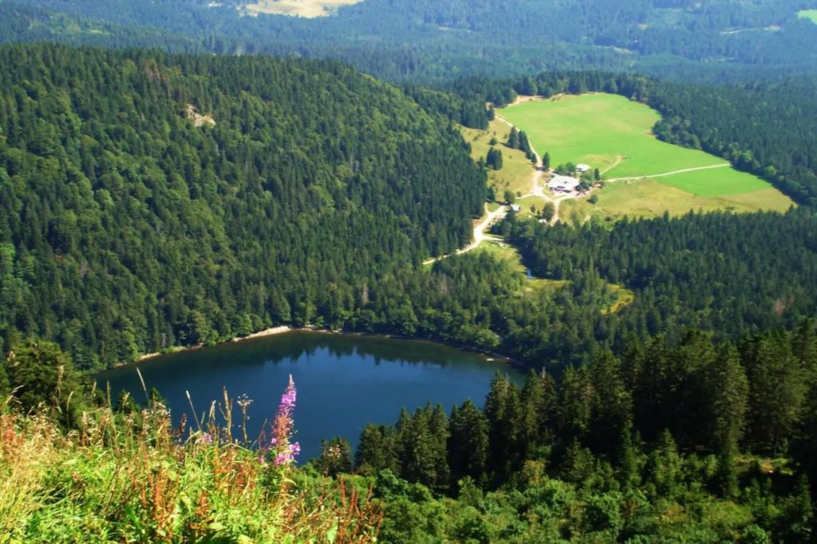 Neukirch-Area within 20km in winter