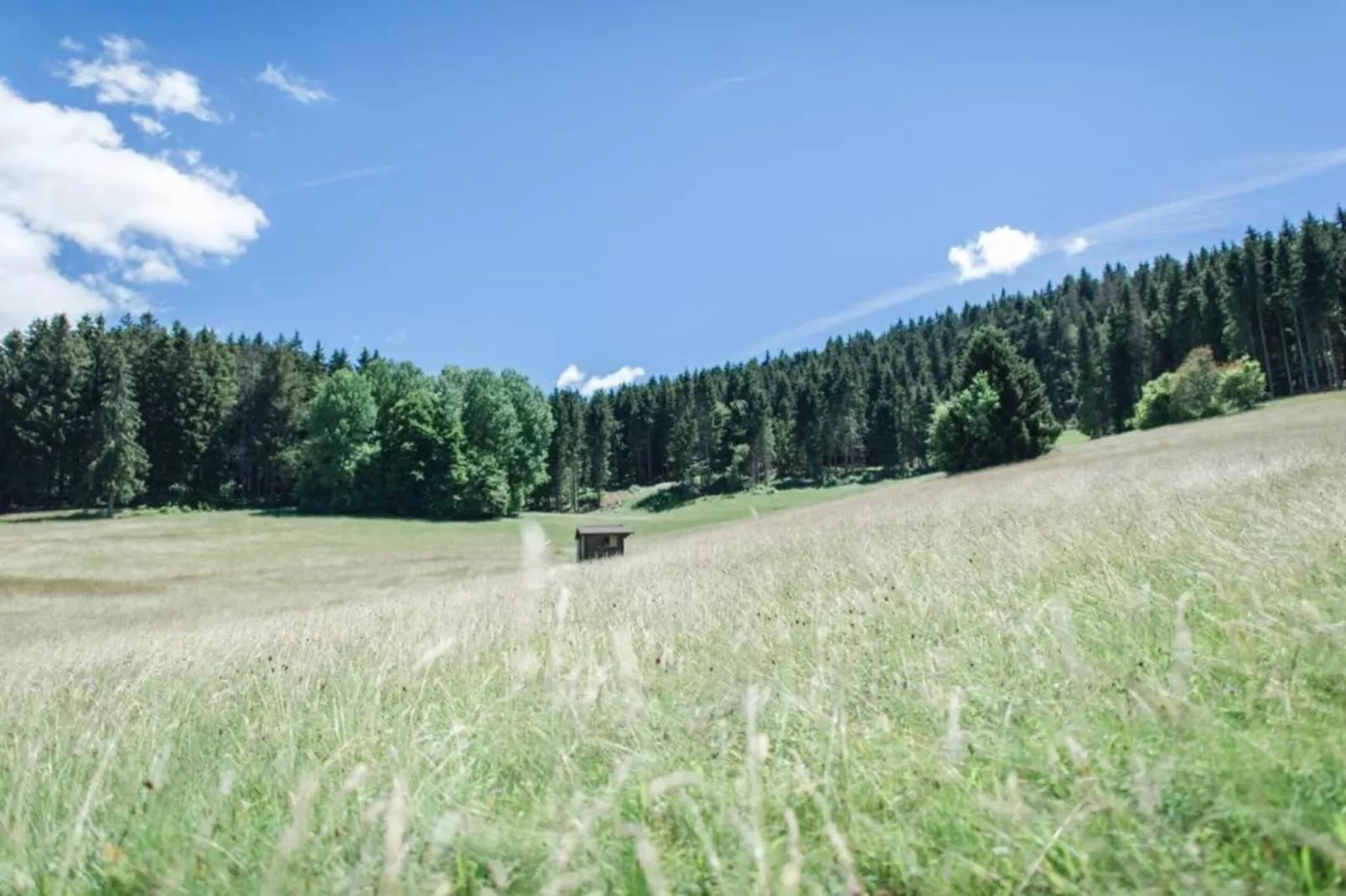 Bernau-Areas within 20km in summer