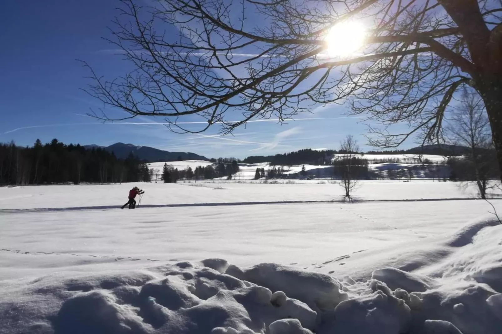 Bad Bayersoien-Area within 20km in winter