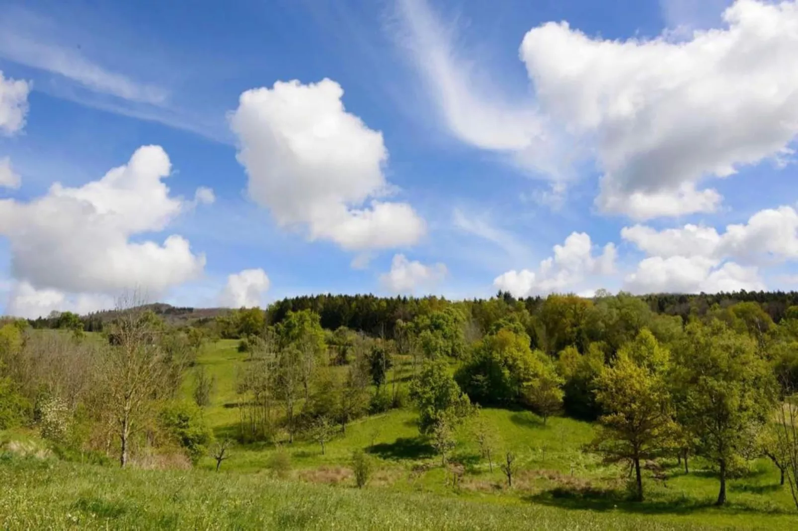 Markdorf-Areas within 20km in summer