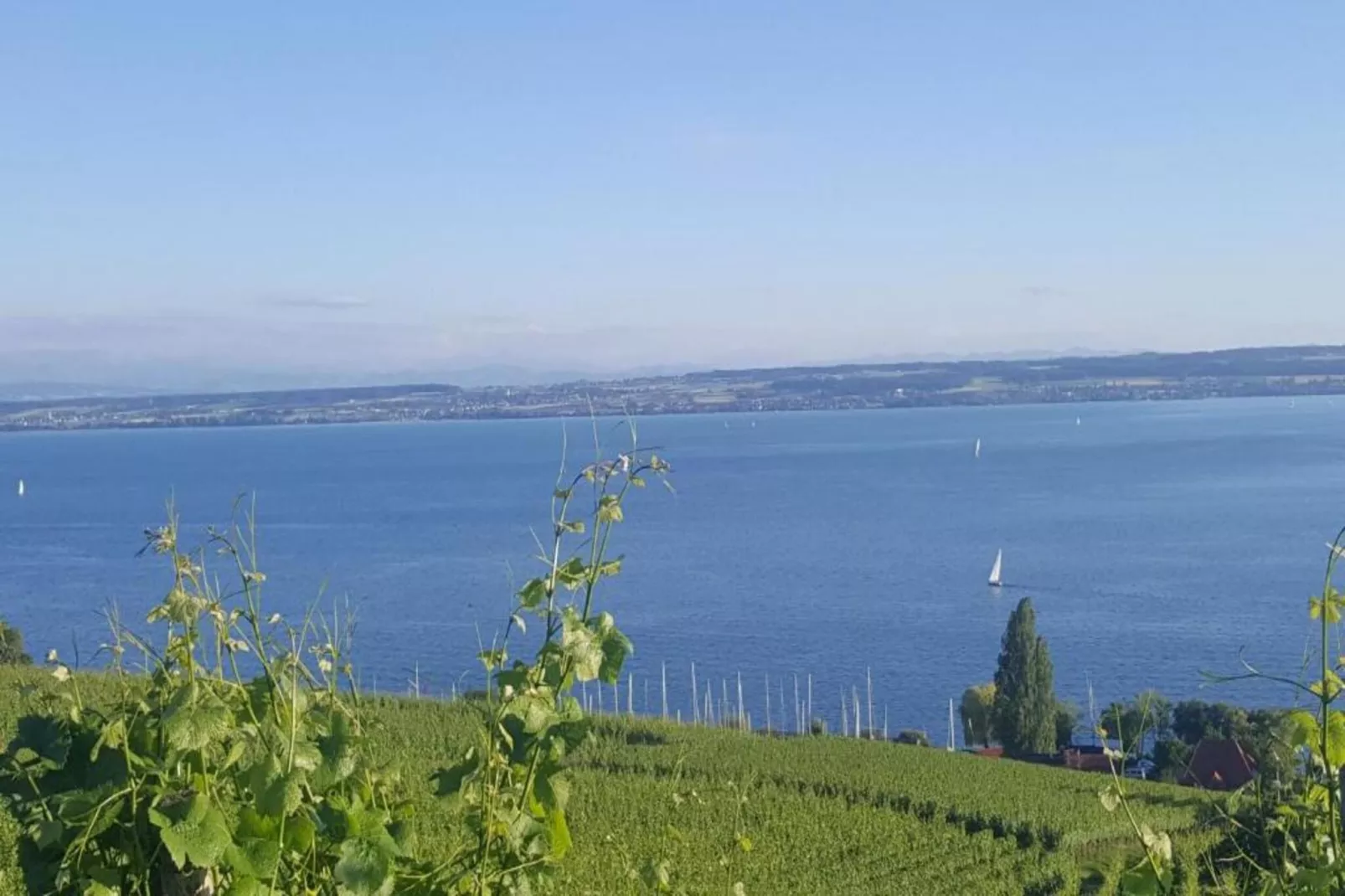 Am Bodensee-Zones été à 20 km