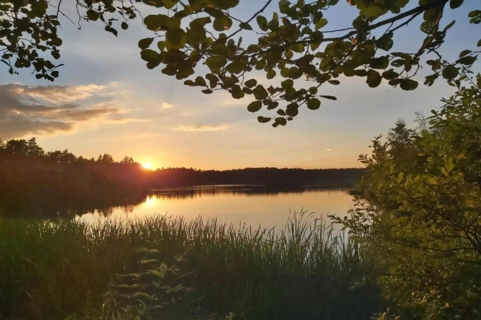 Bodenwöhr-Areas within 5km in summer