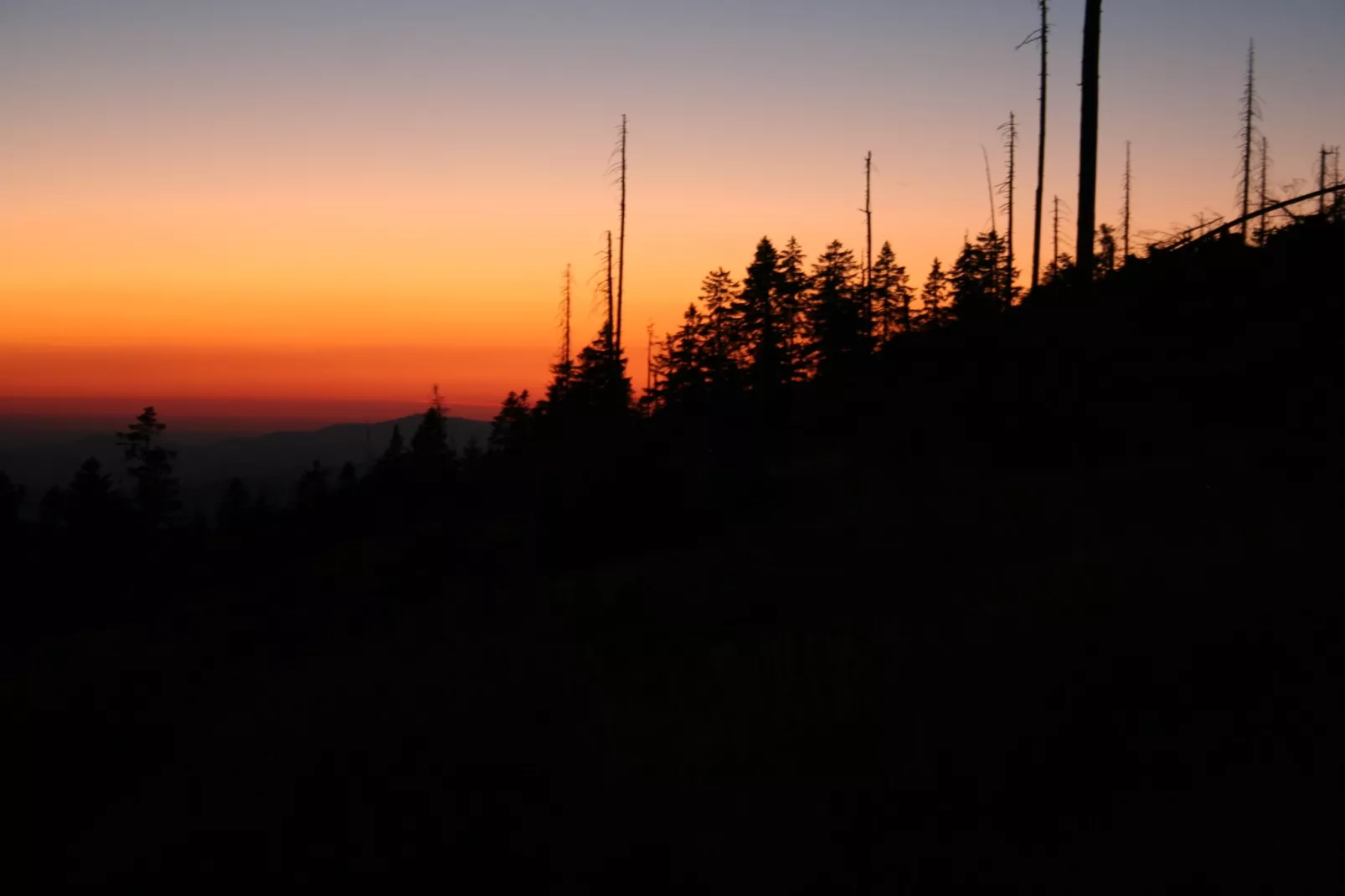 Bayerischer Wald-Areas within 20km in summer