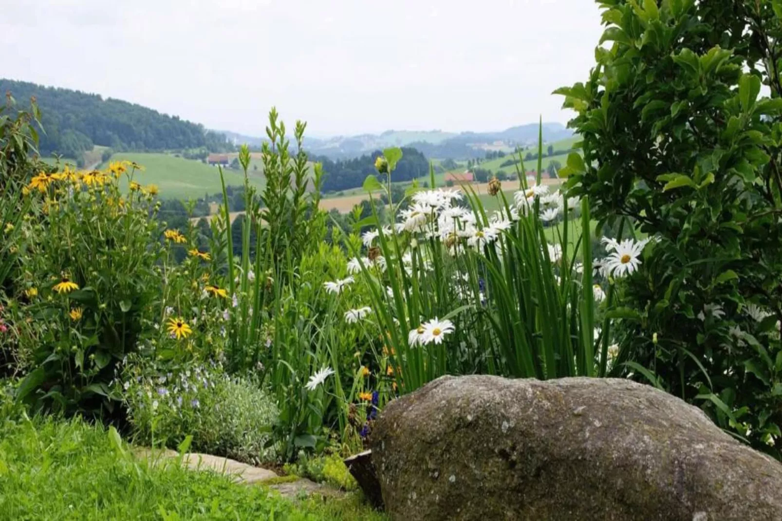 Im Bayerischen Wald-Zones été à 20 km