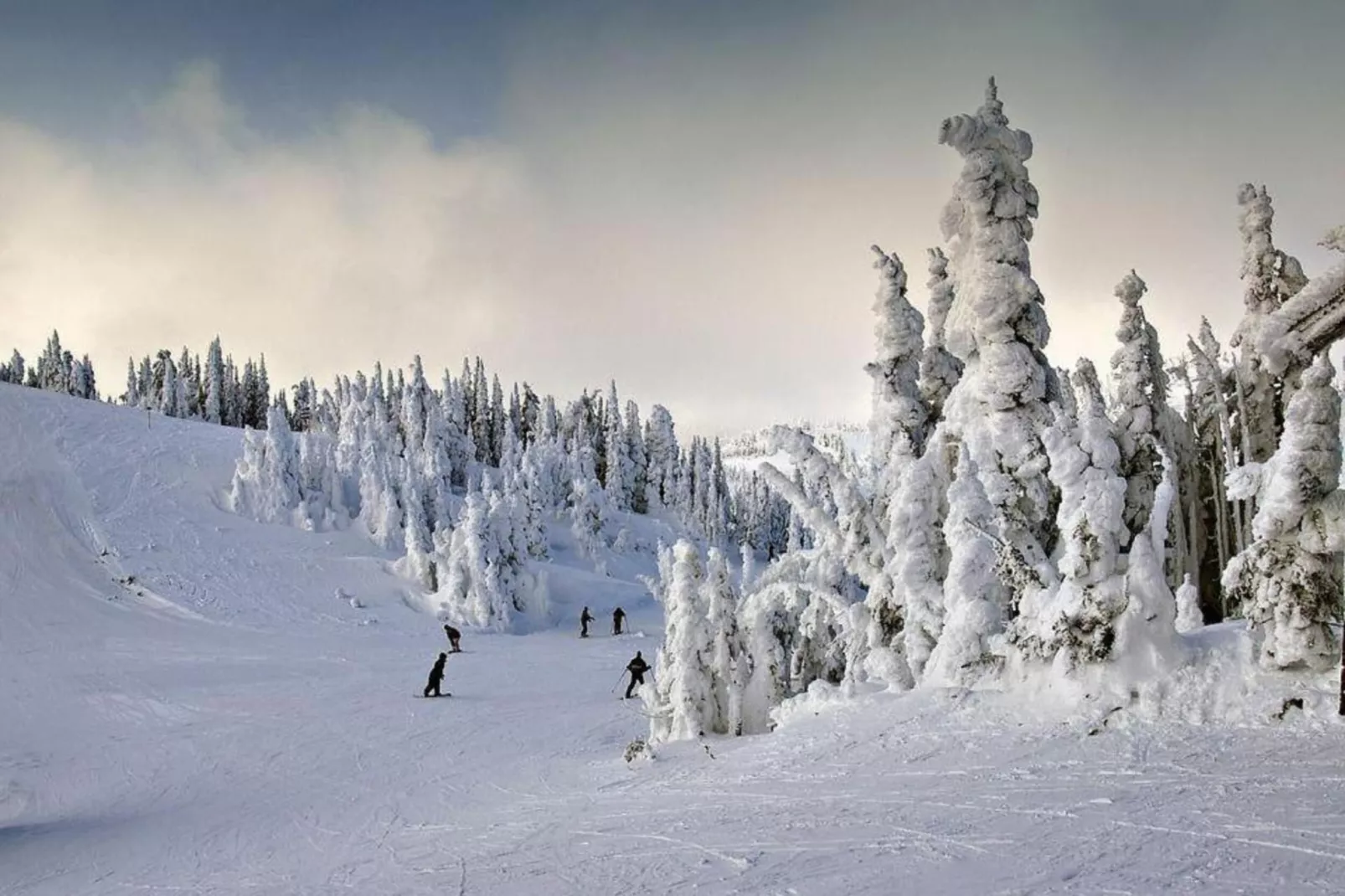 Poesie-Zones hiver à 5 km