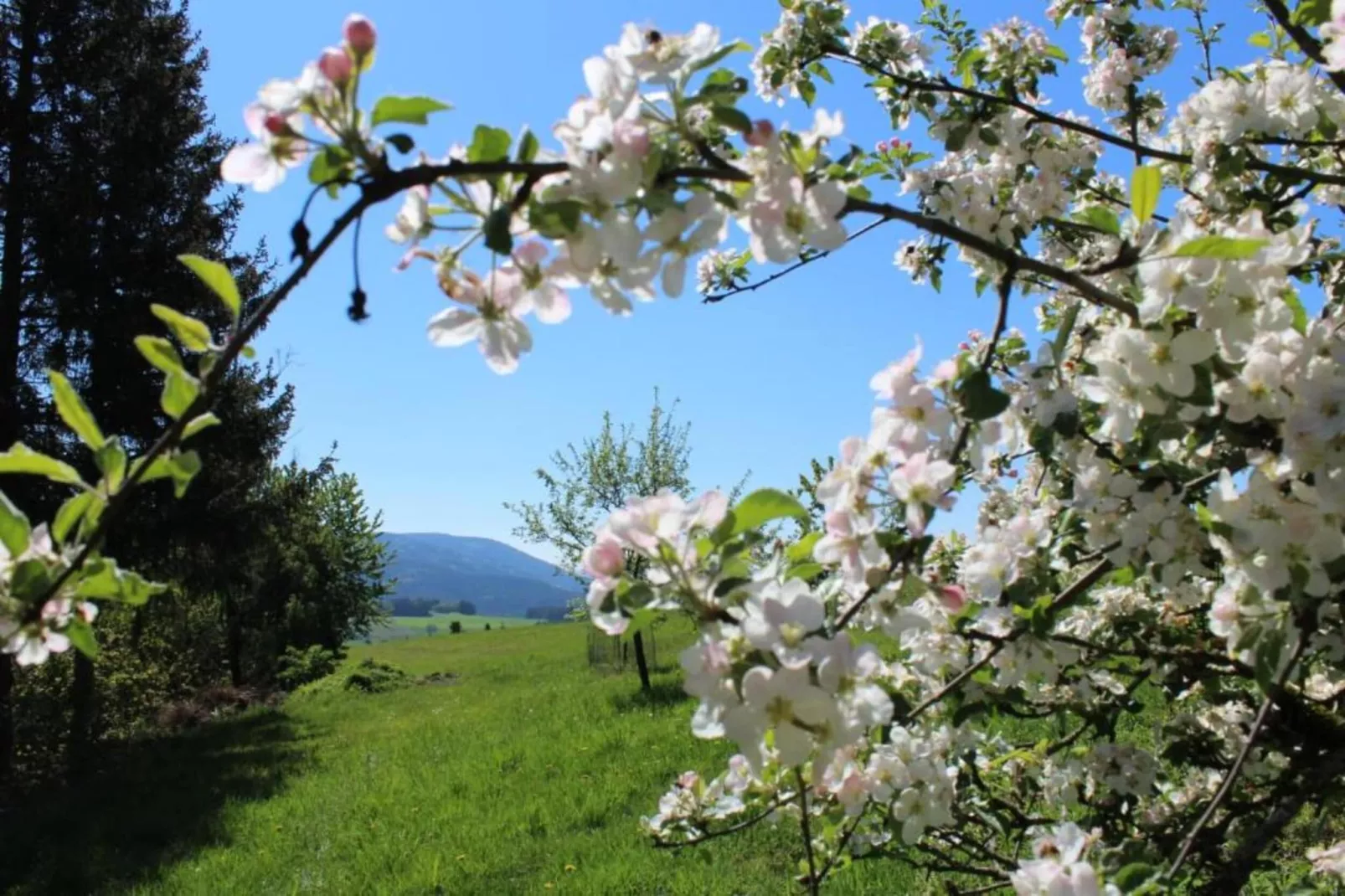 Weißenbrunn-Areas within 20km in summer