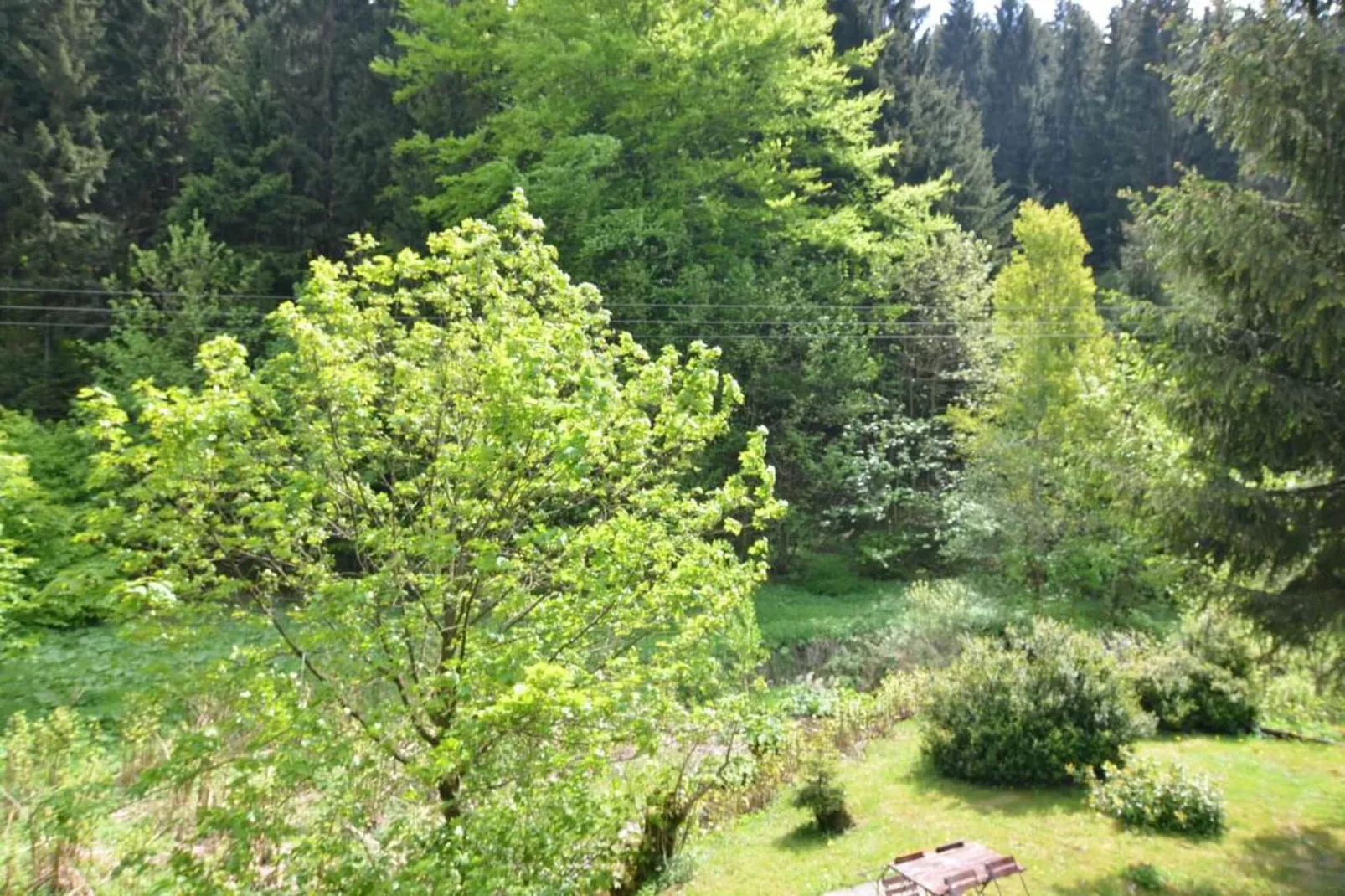 Waldblick-Gebiete Sommer 20 km