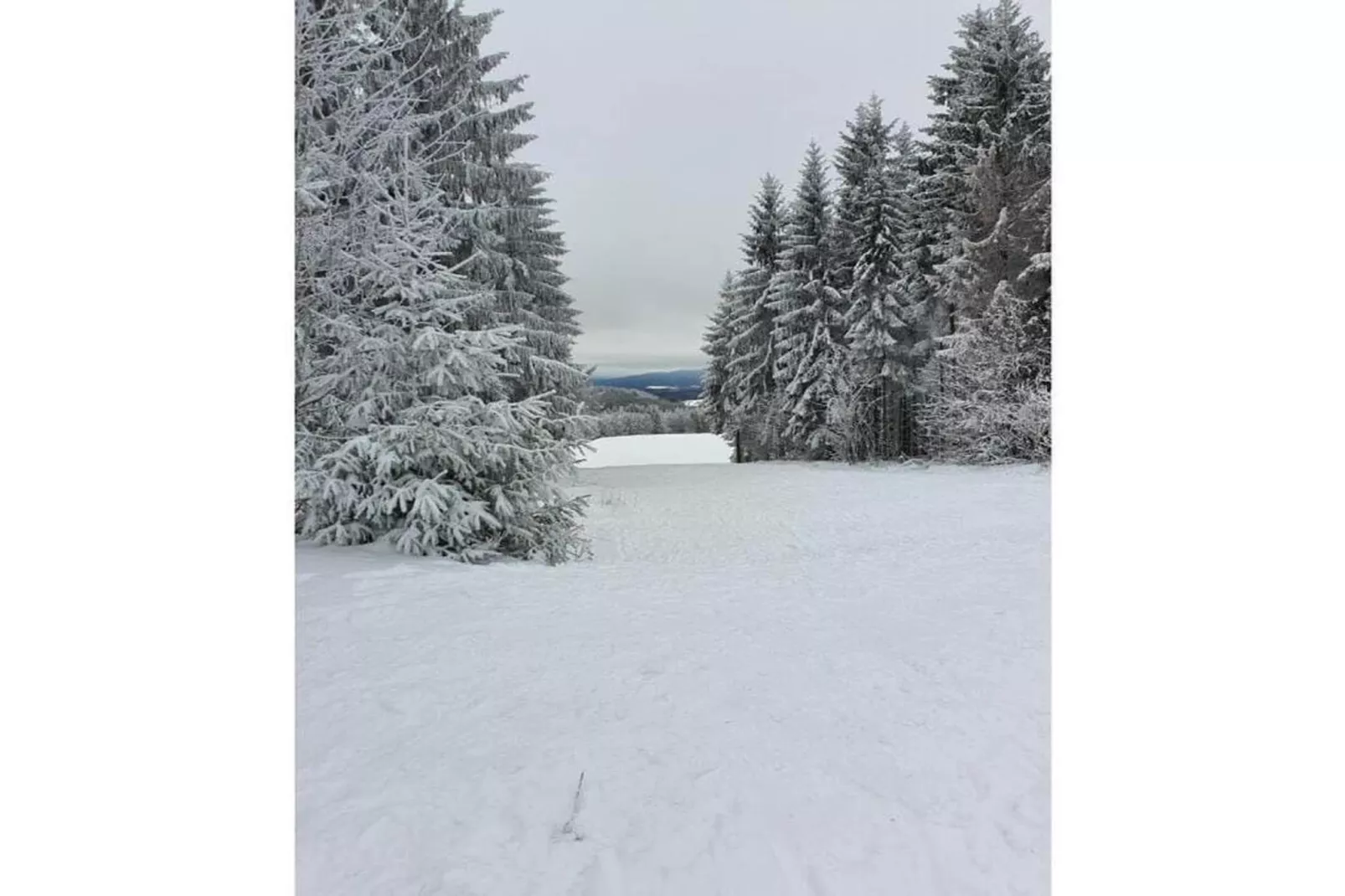 Theresa-Area within 20km in winter