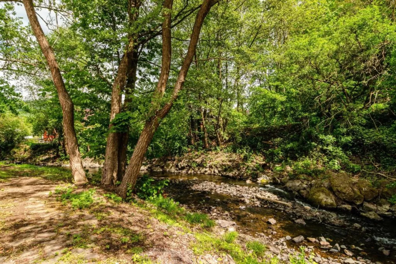 Neustadt-Zones été à 20 km