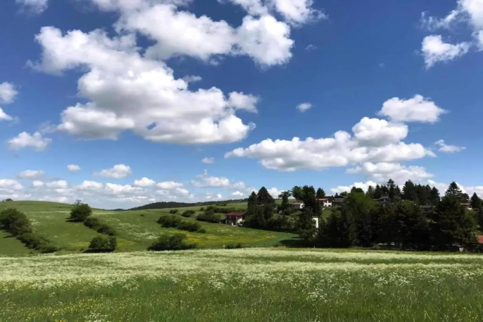 Schwarzhausen-Areas within 5km in summer