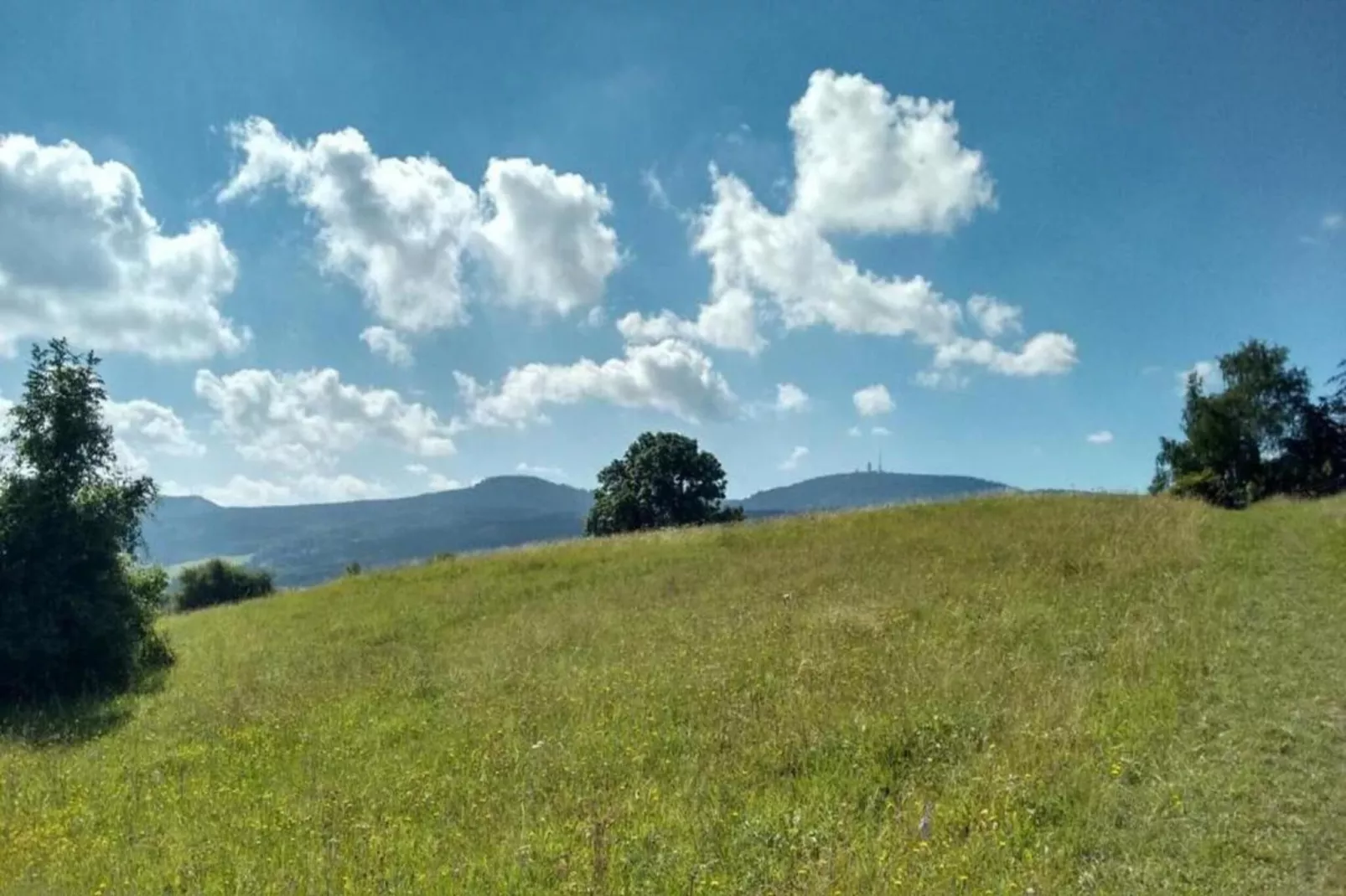 Ferienwohnung Apelt-Areas within 5km in summer