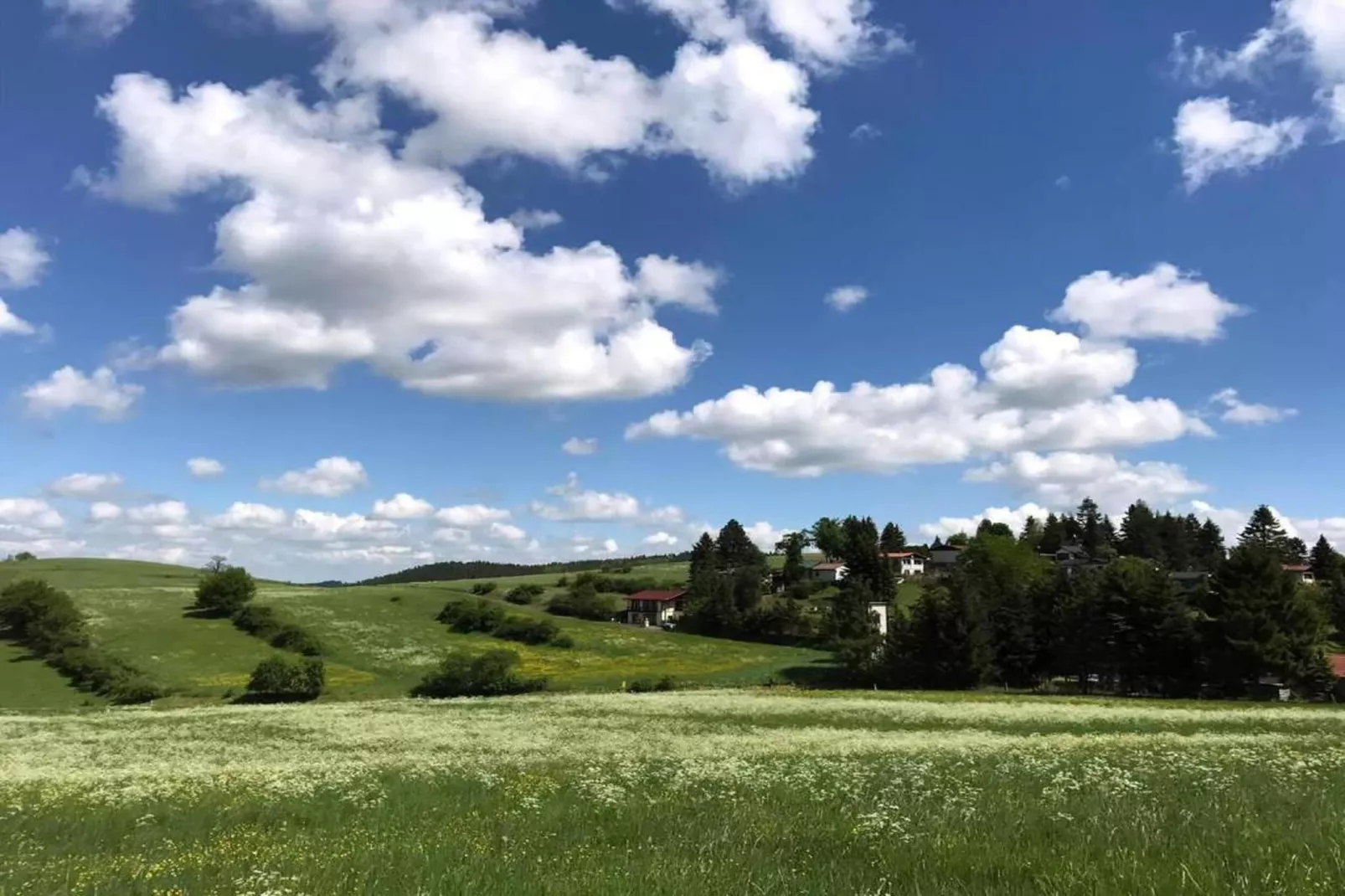 Thüringer Wald-Gebiete Sommer 20 km
