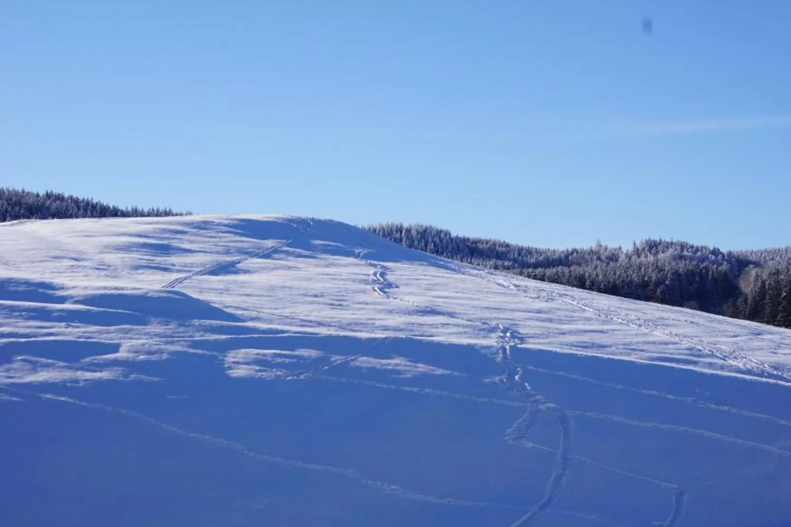 Ferienhaus im Thüringer Wald-Area within 5km in winter