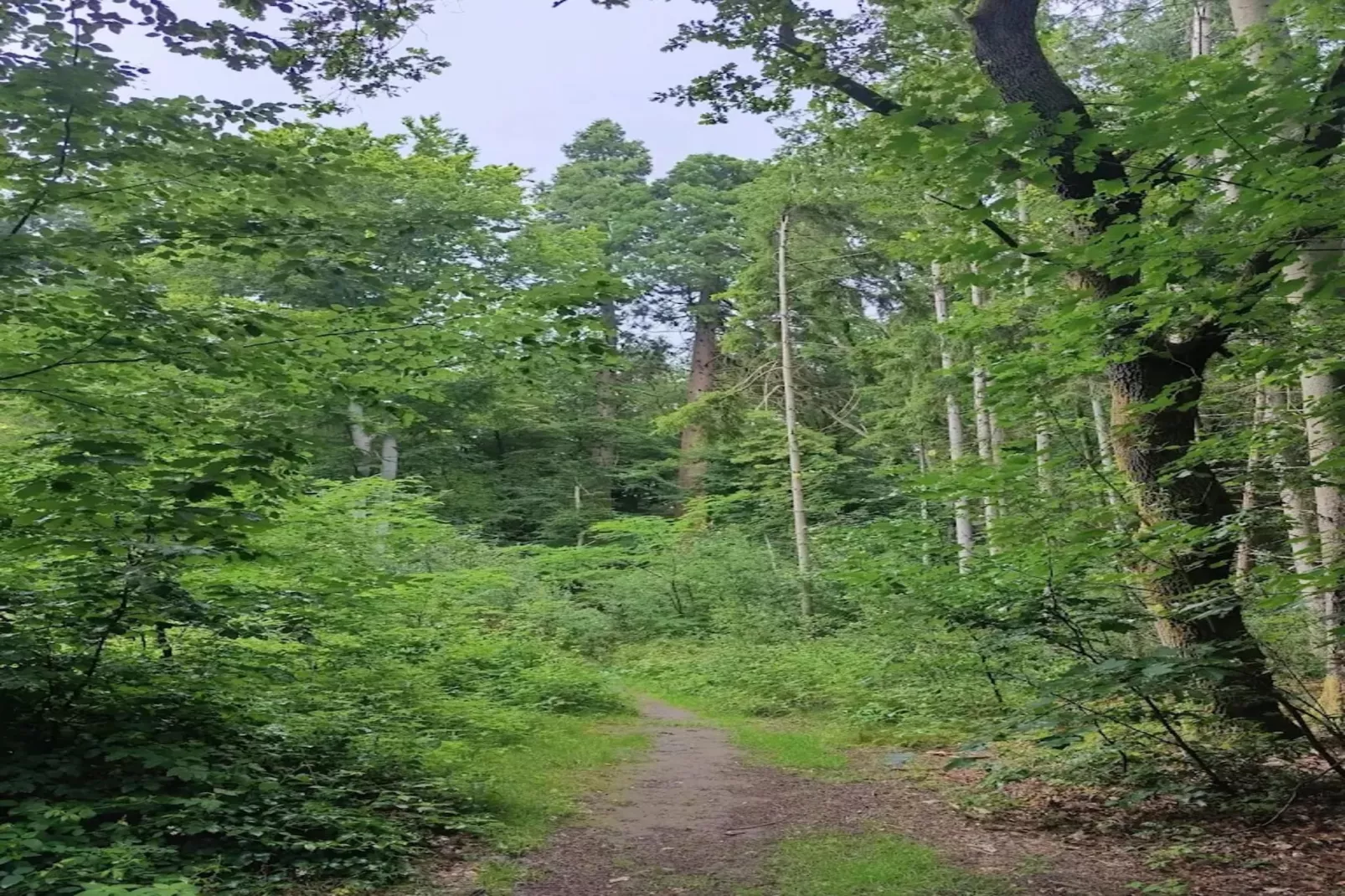 Chalet - 2 Personen-Areas within 5km in summer