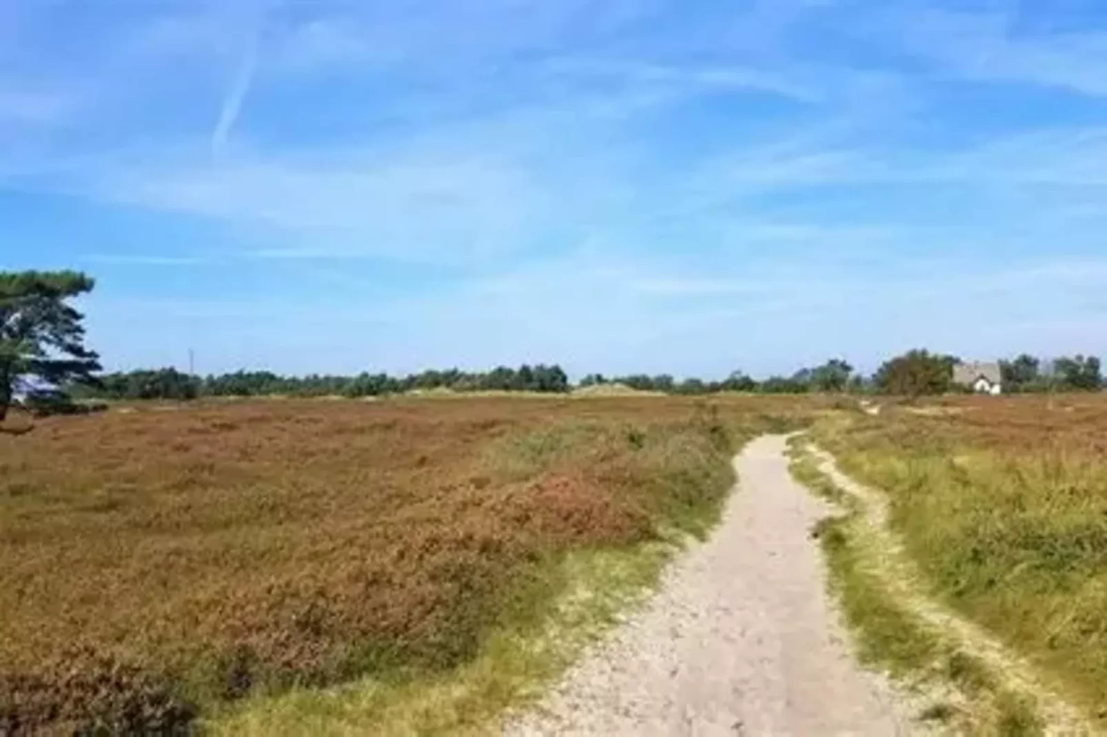 Post Hiddensee-Wohnung 18-Zones été à 5 km
