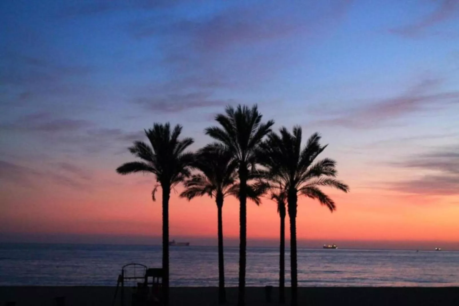 Los Olivos-Areas within 5km in summer