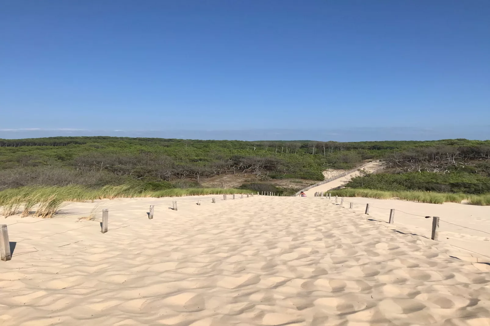 Clos les Pins-Gebiete Sommer 5 km