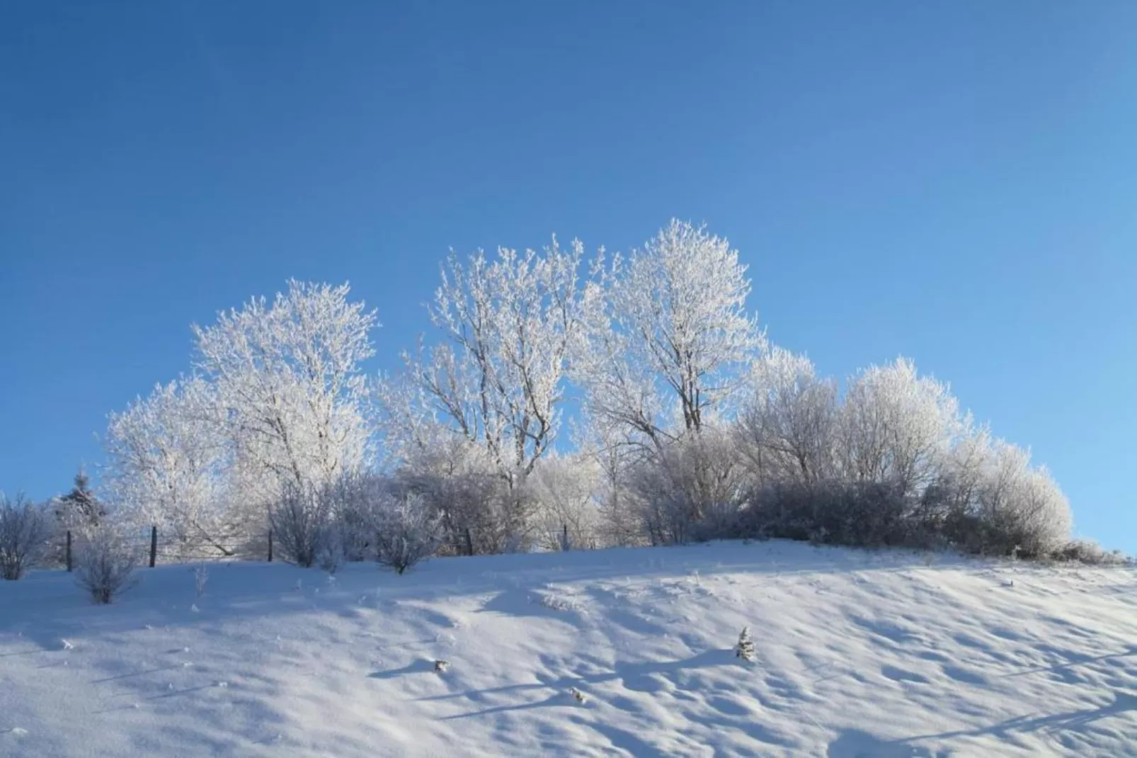 O CHALET-Zones hiver à 20 km